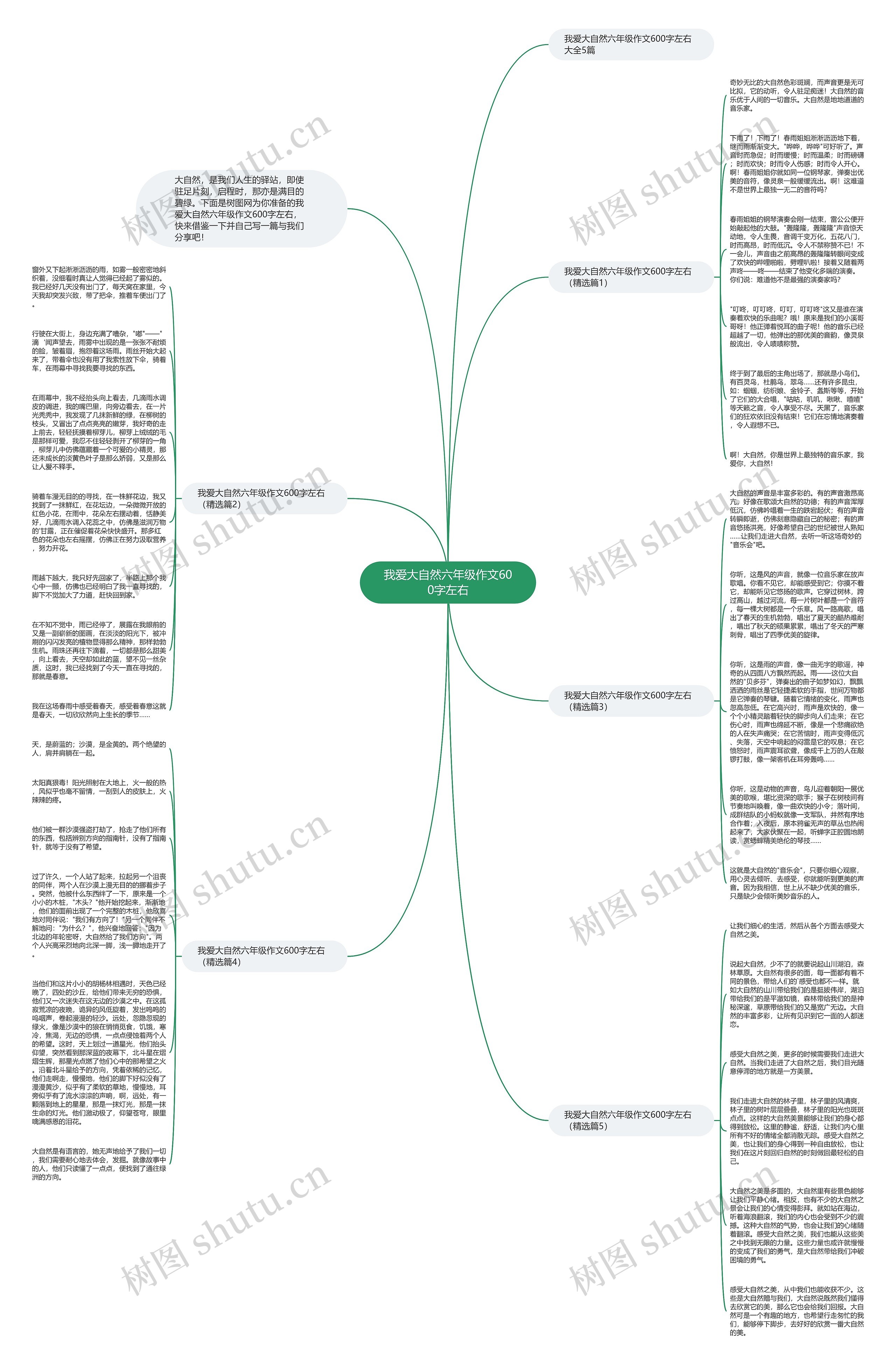 我爱大自然六年级作文600字左右思维导图