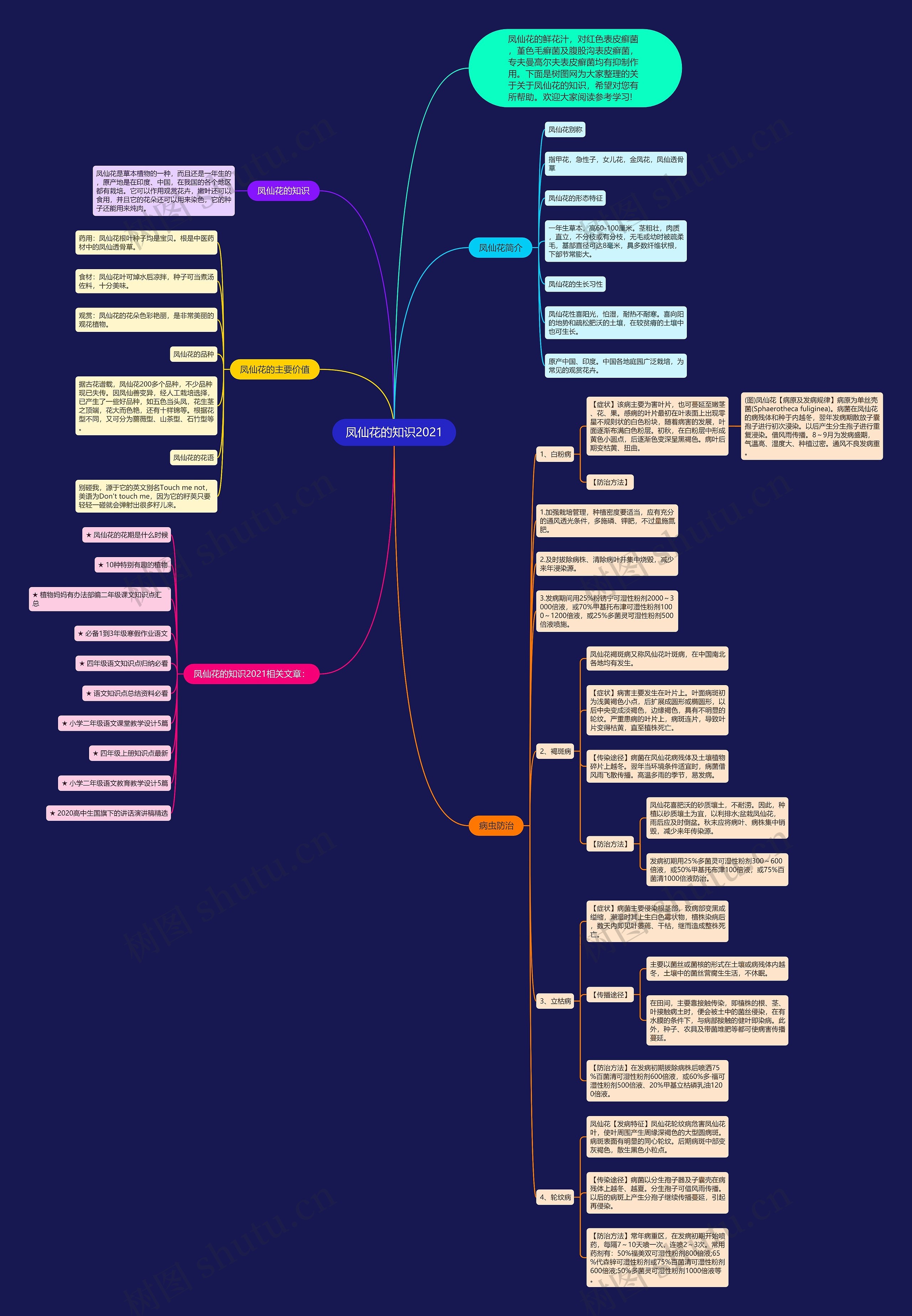 凤仙花的知识2021思维导图