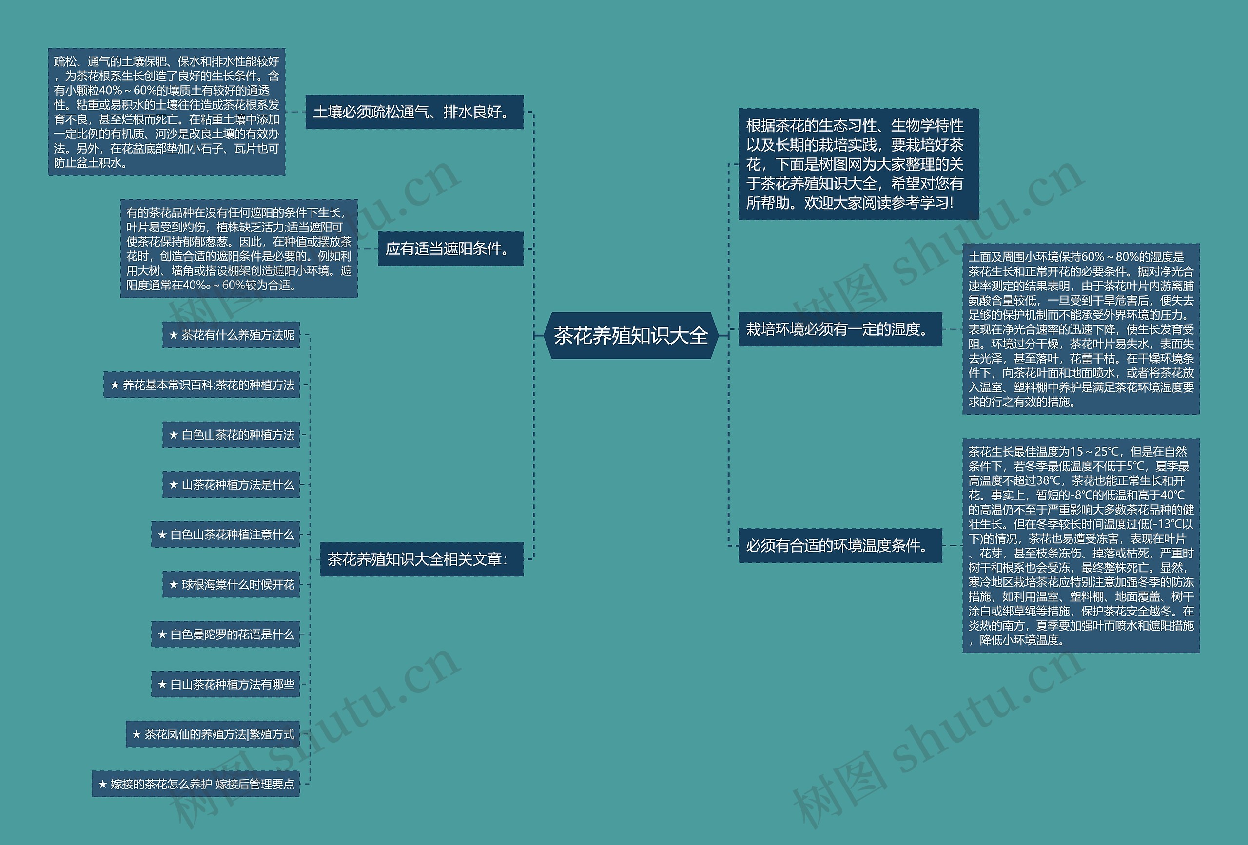 茶花养殖知识大全思维导图