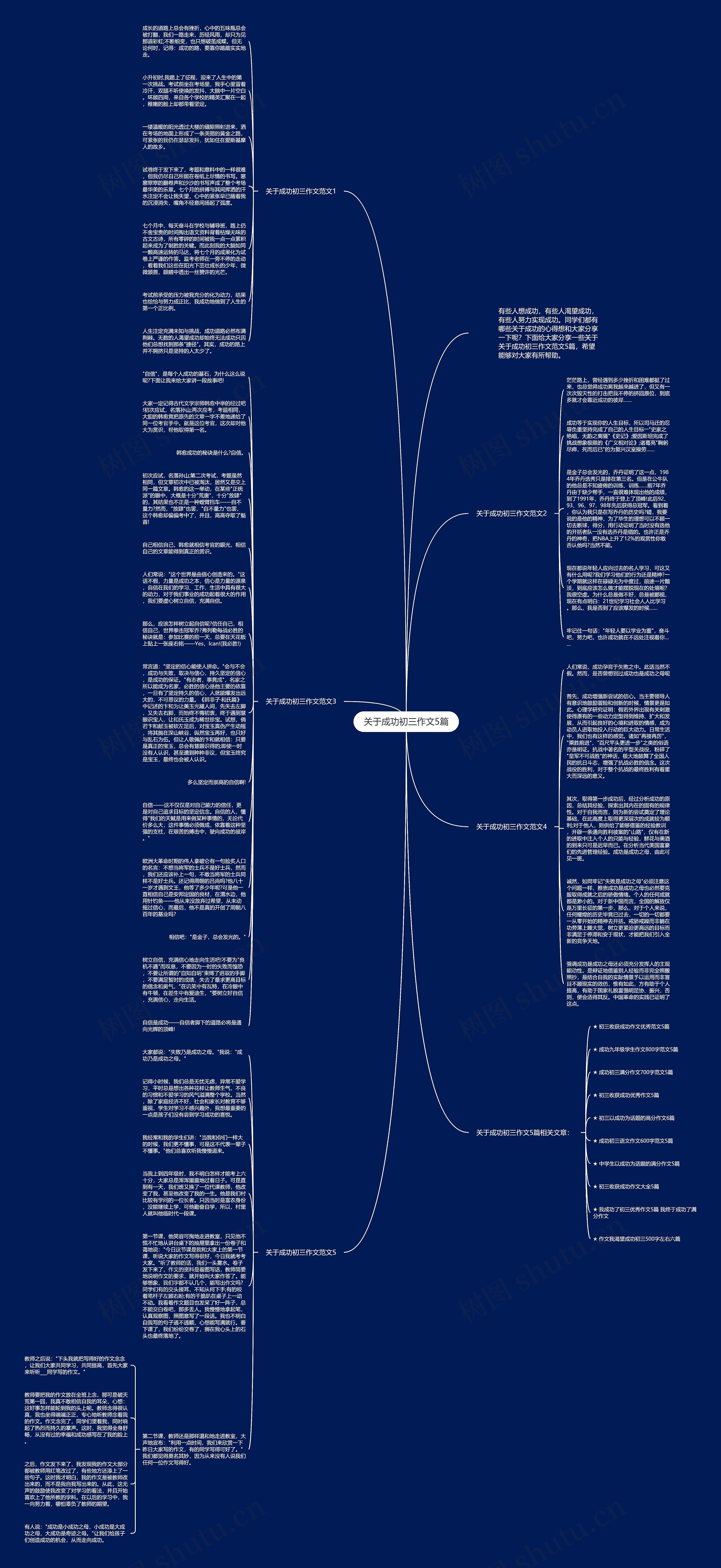 关于成功初三作文5篇思维导图
