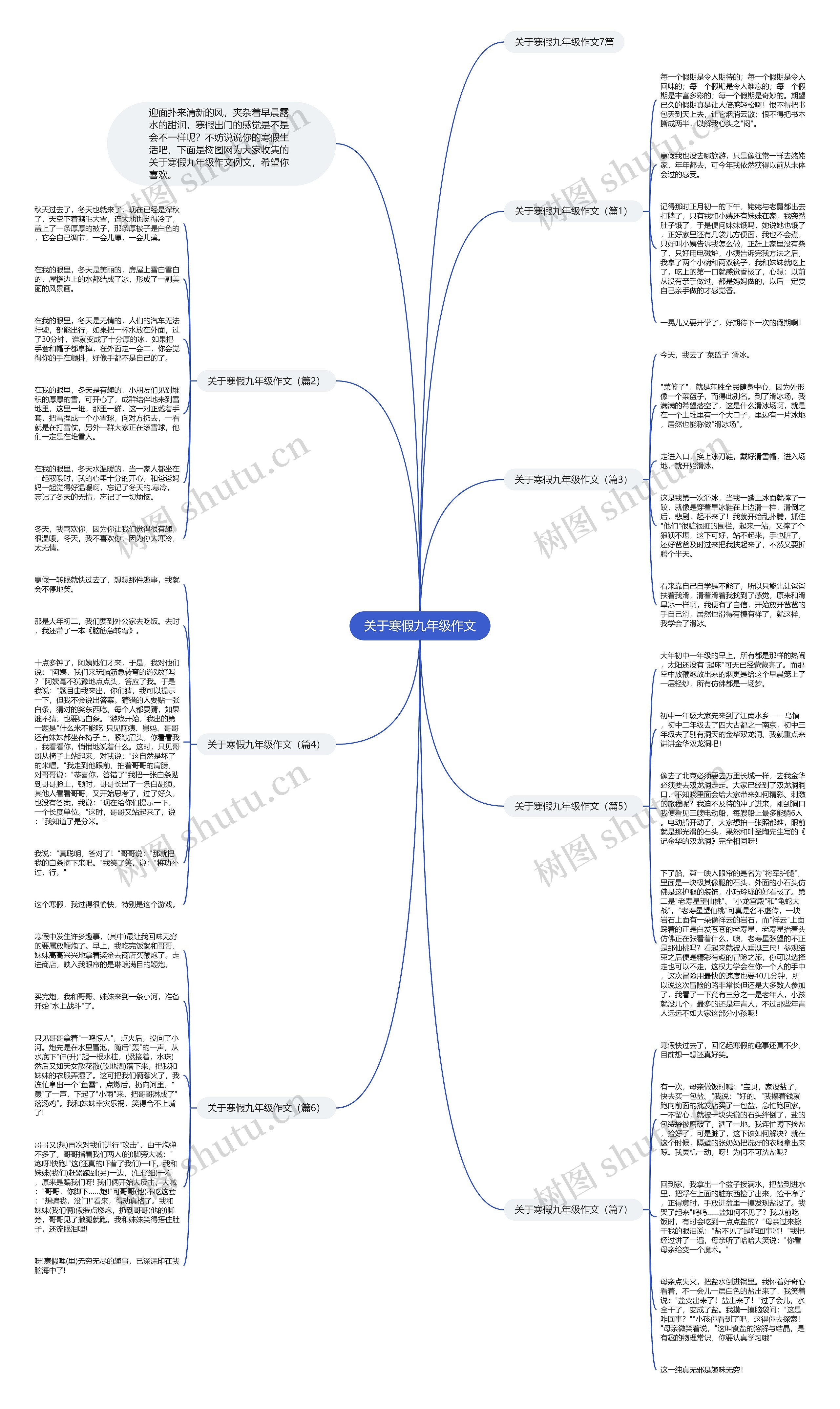 关于寒假九年级作文思维导图