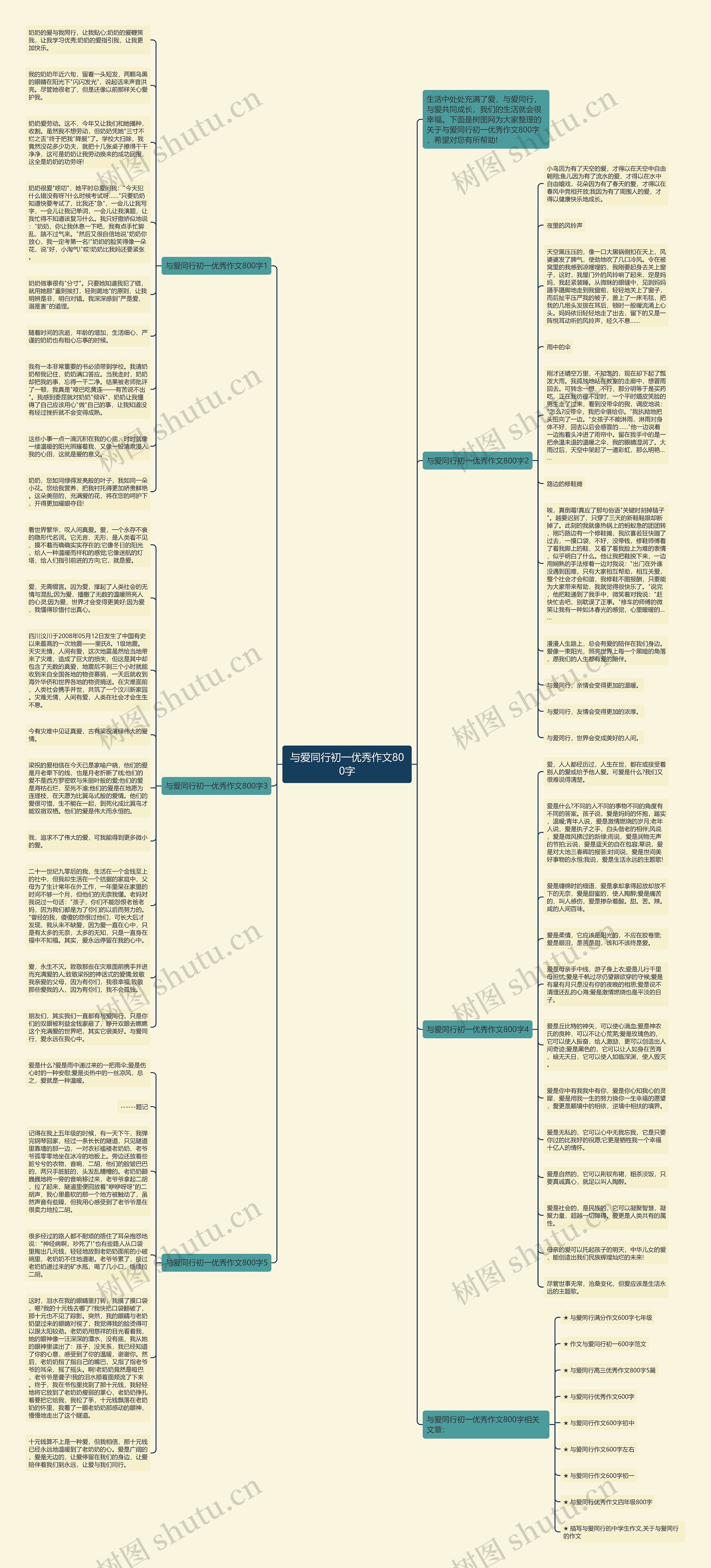 与爱同行初一优秀作文800字思维导图