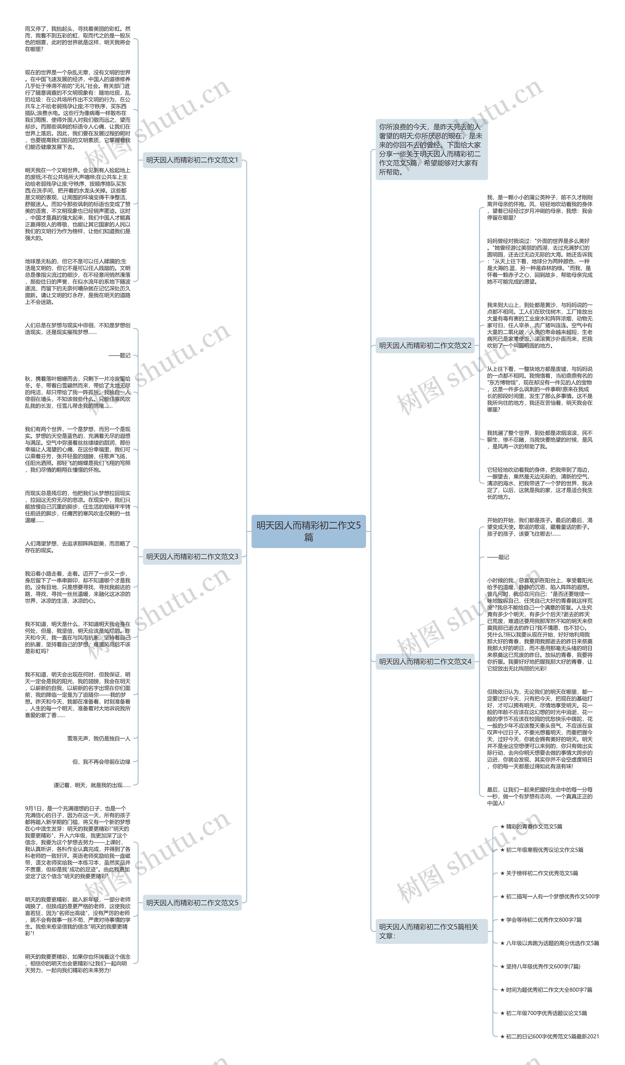 明天因人而精彩初二作文5篇思维导图