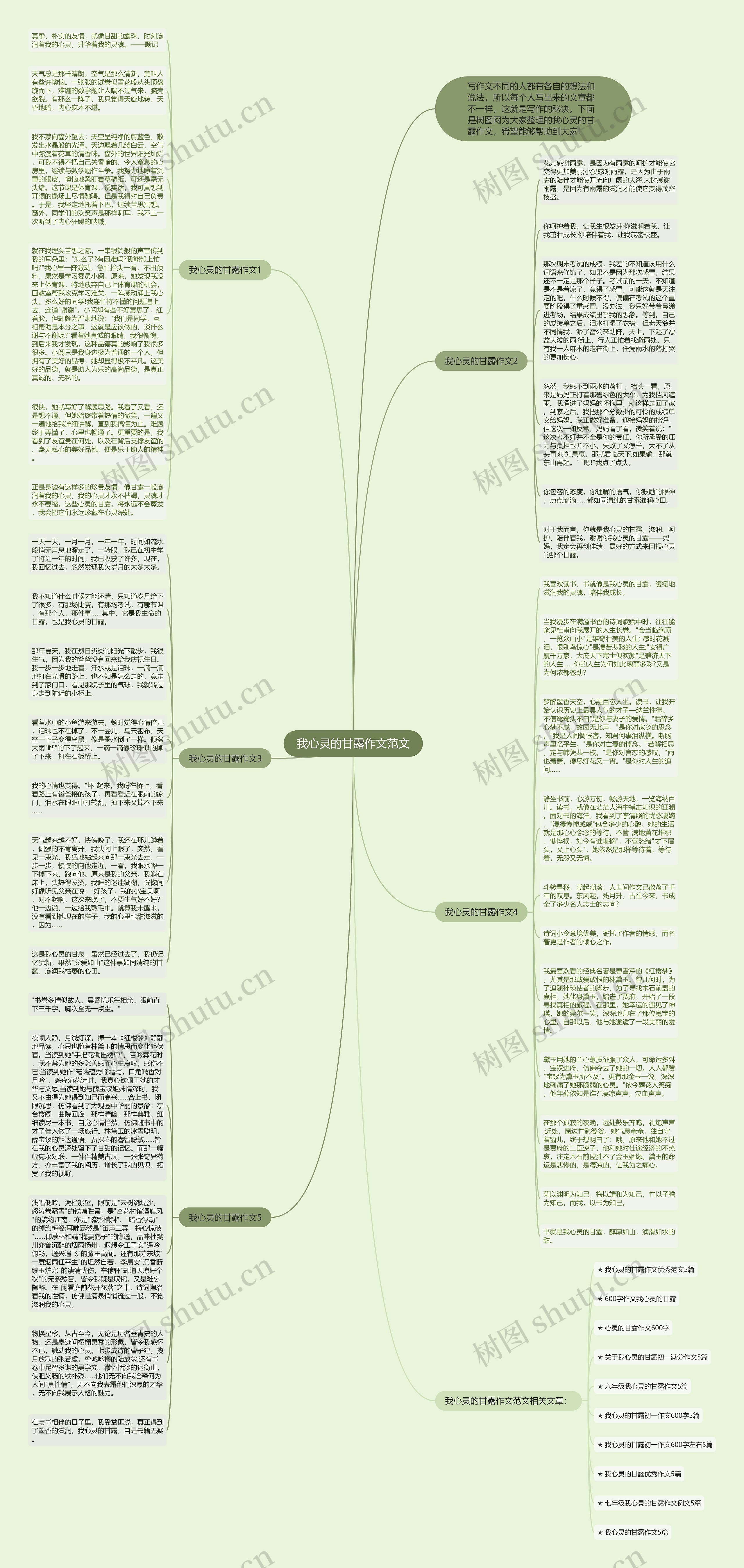 我心灵的甘露作文范文思维导图