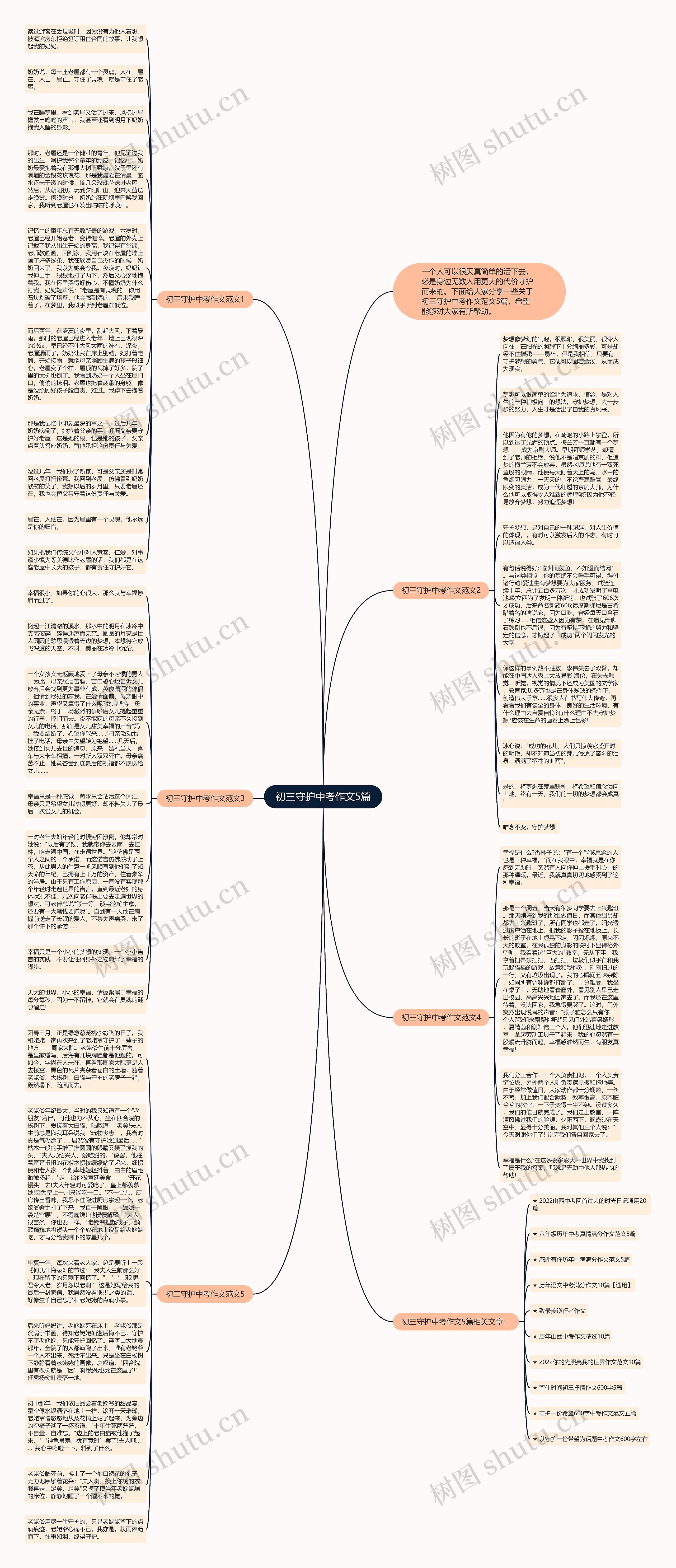 初三守护中考作文5篇思维导图