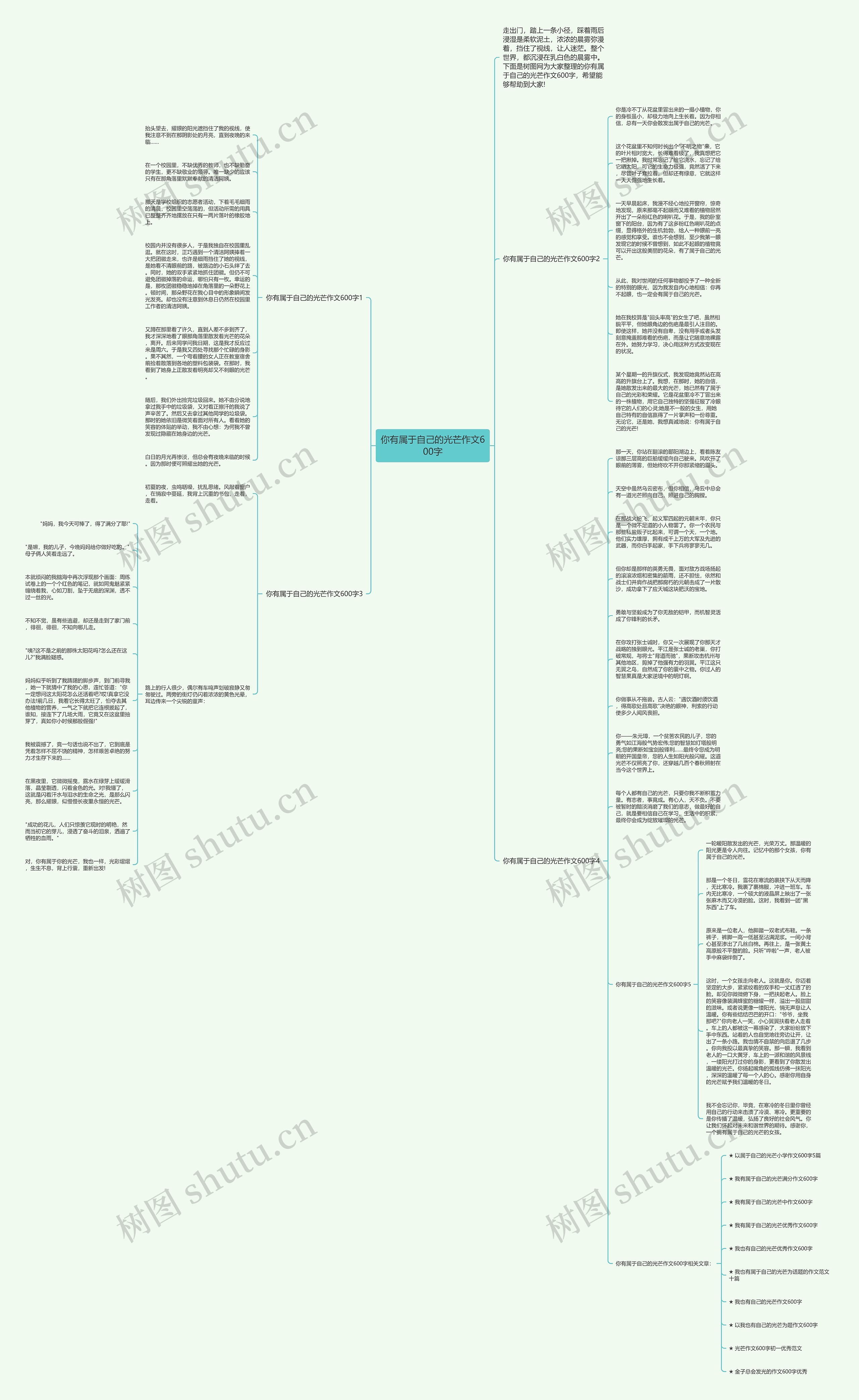 你有属于自己的光芒作文600字思维导图