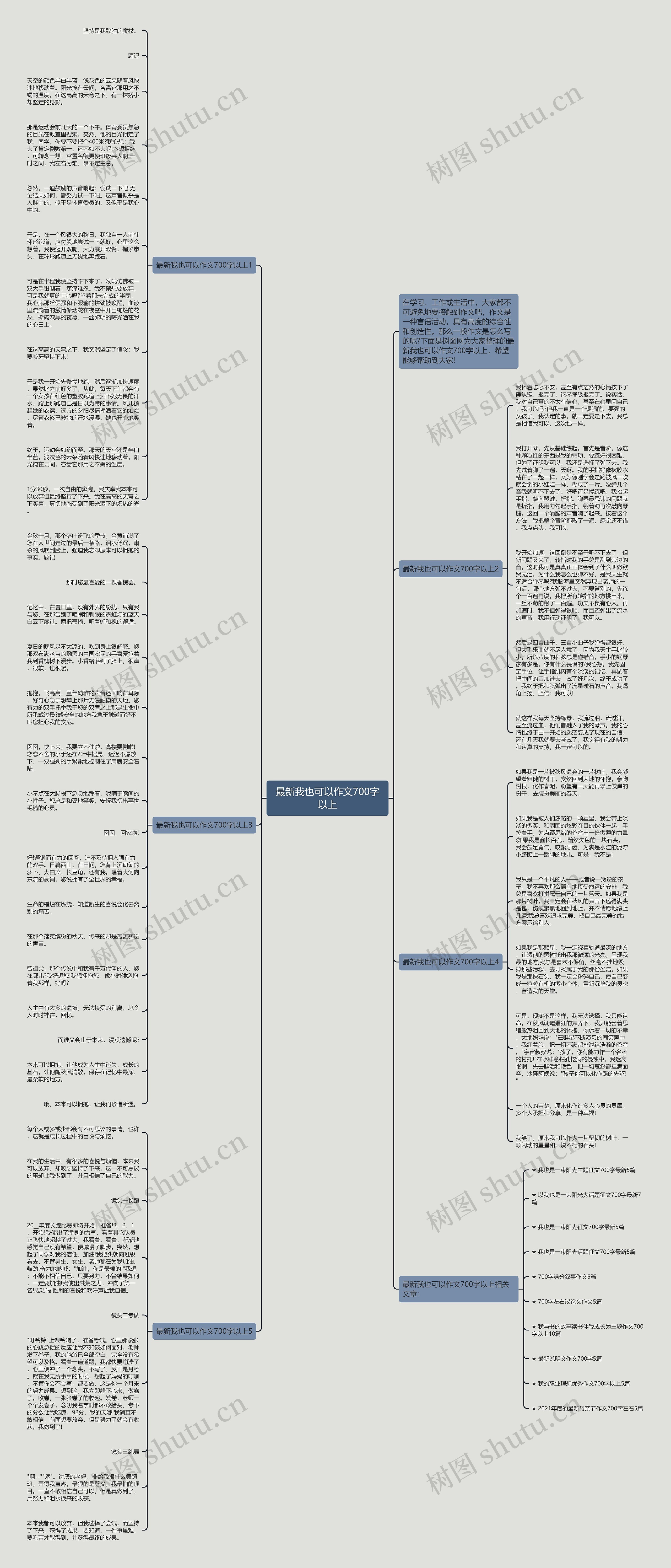 最新我也可以作文700字以上思维导图