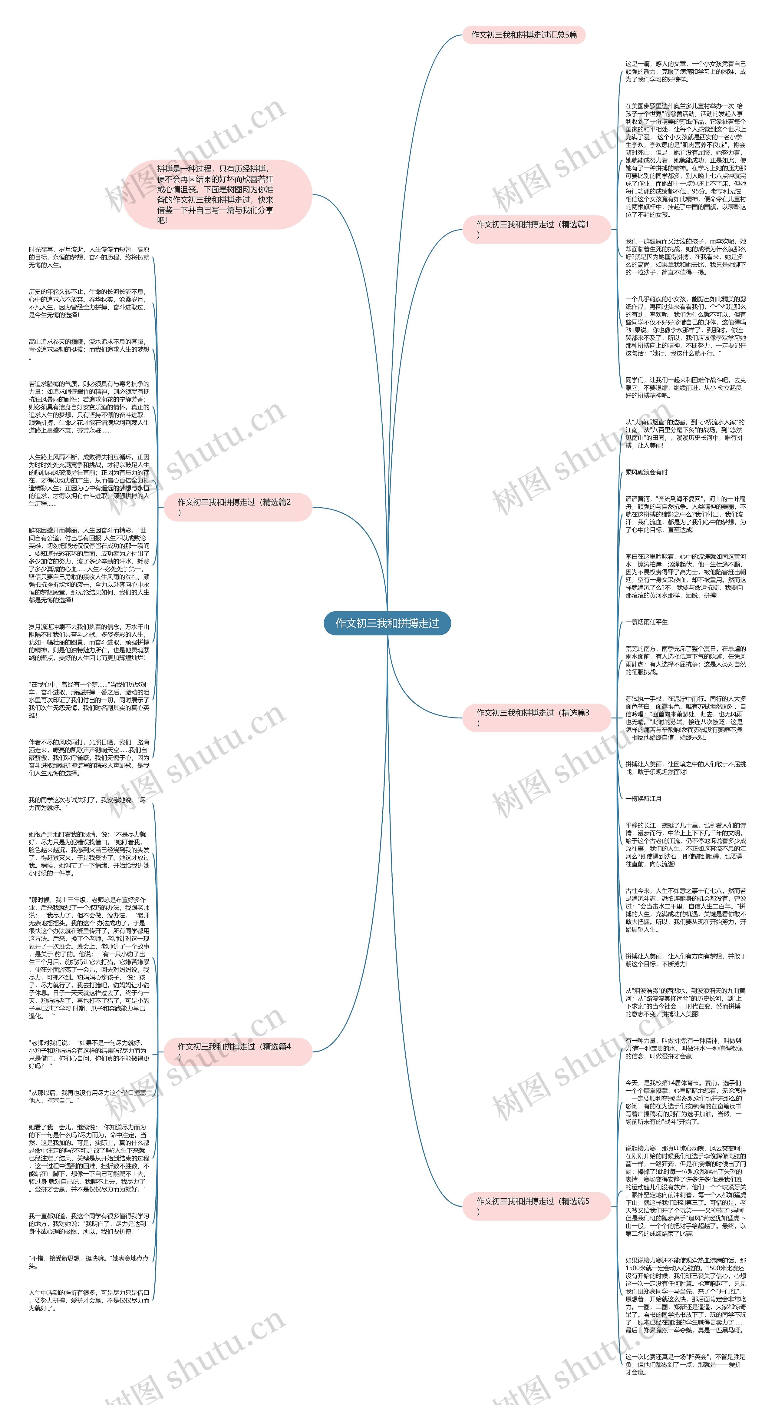 作文初三我和拼搏走过思维导图