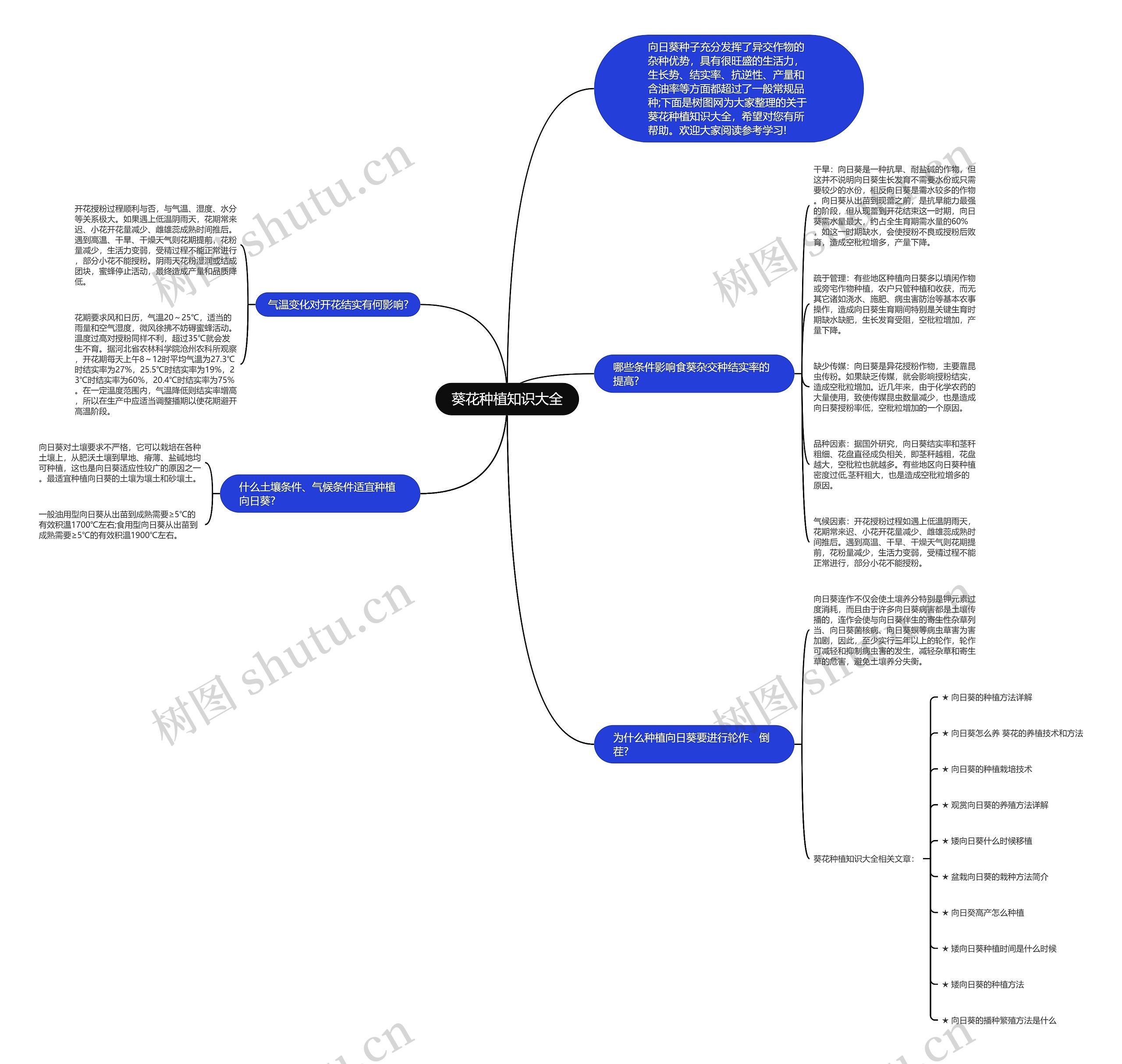 葵花种植知识大全思维导图