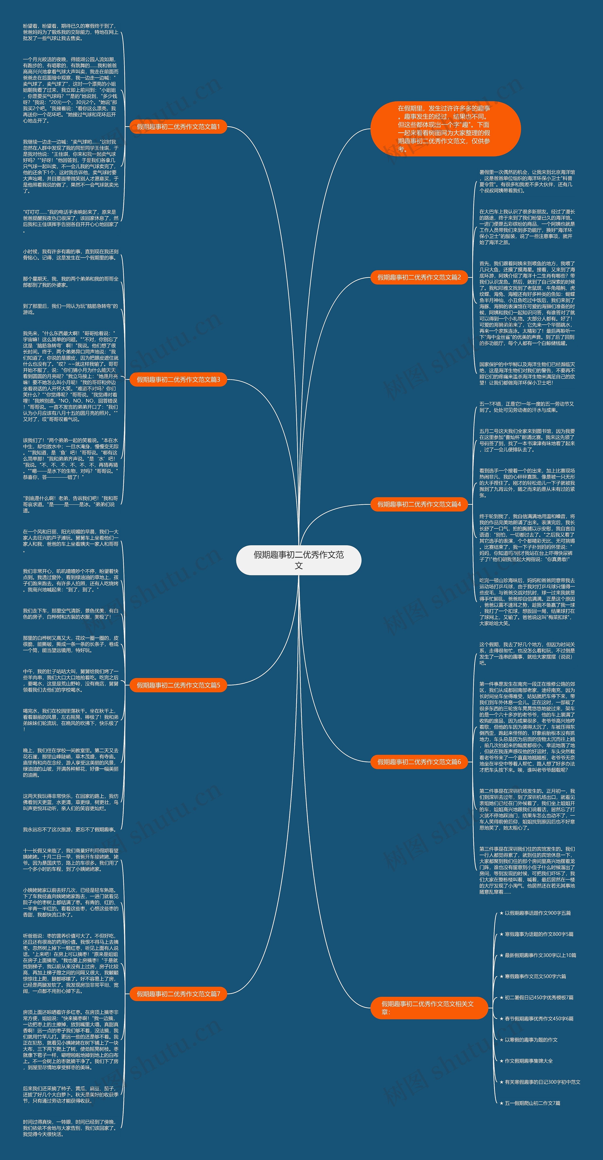 假期趣事初二优秀作文范文思维导图
