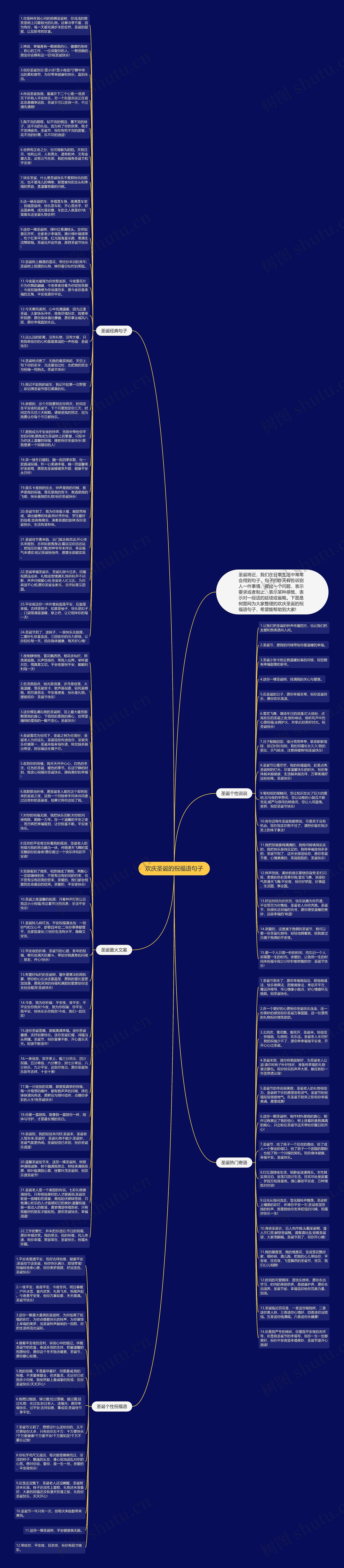 欢庆圣诞的祝福语句子思维导图