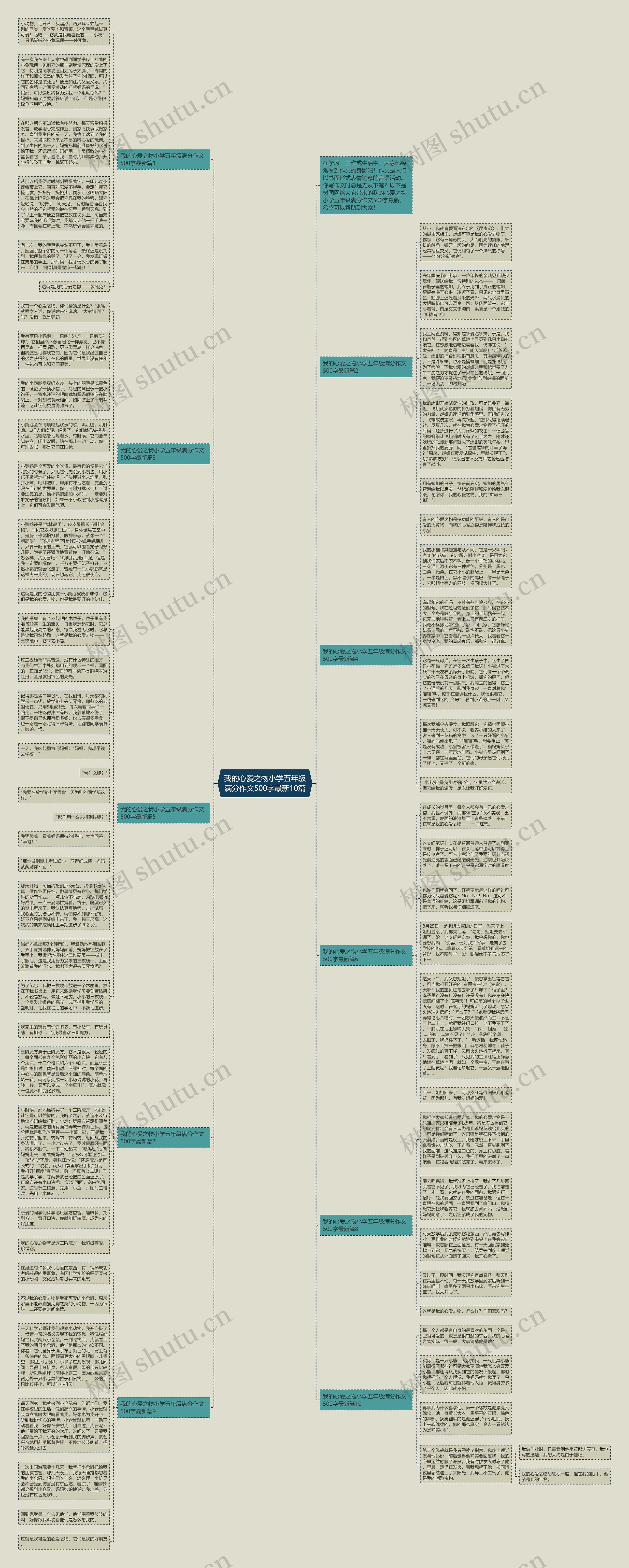 我的心爱之物小学五年级满分作文500字最新10篇思维导图