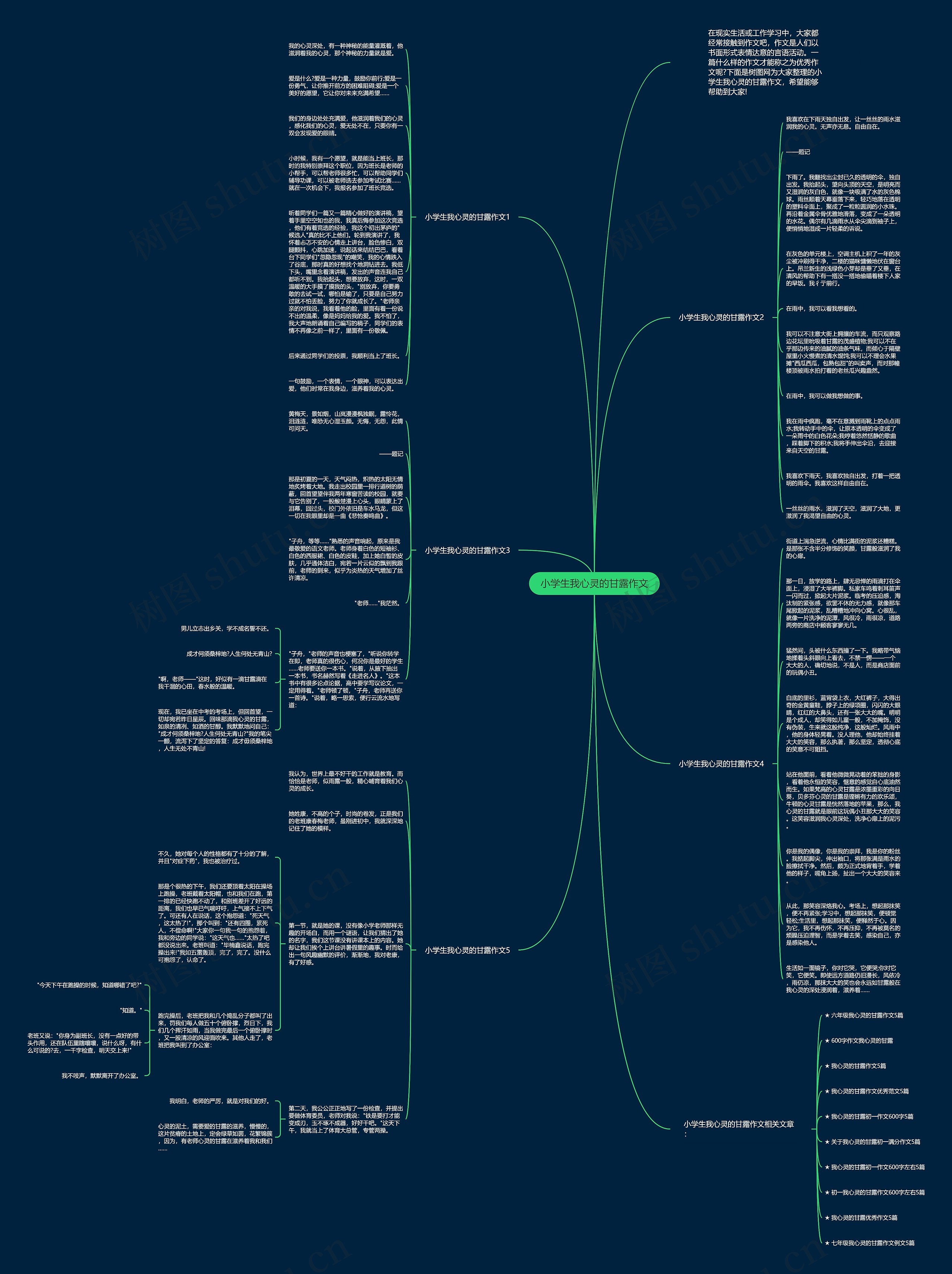 小学生我心灵的甘露作文思维导图