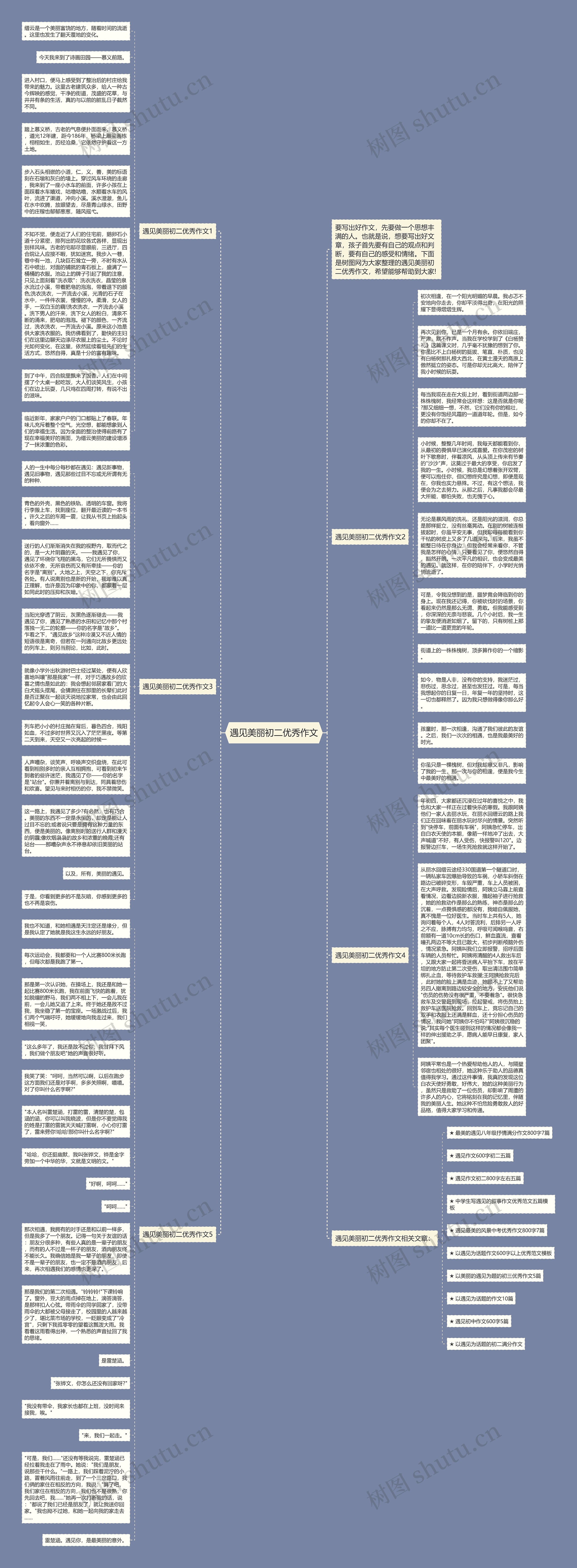 遇见美丽初二优秀作文思维导图