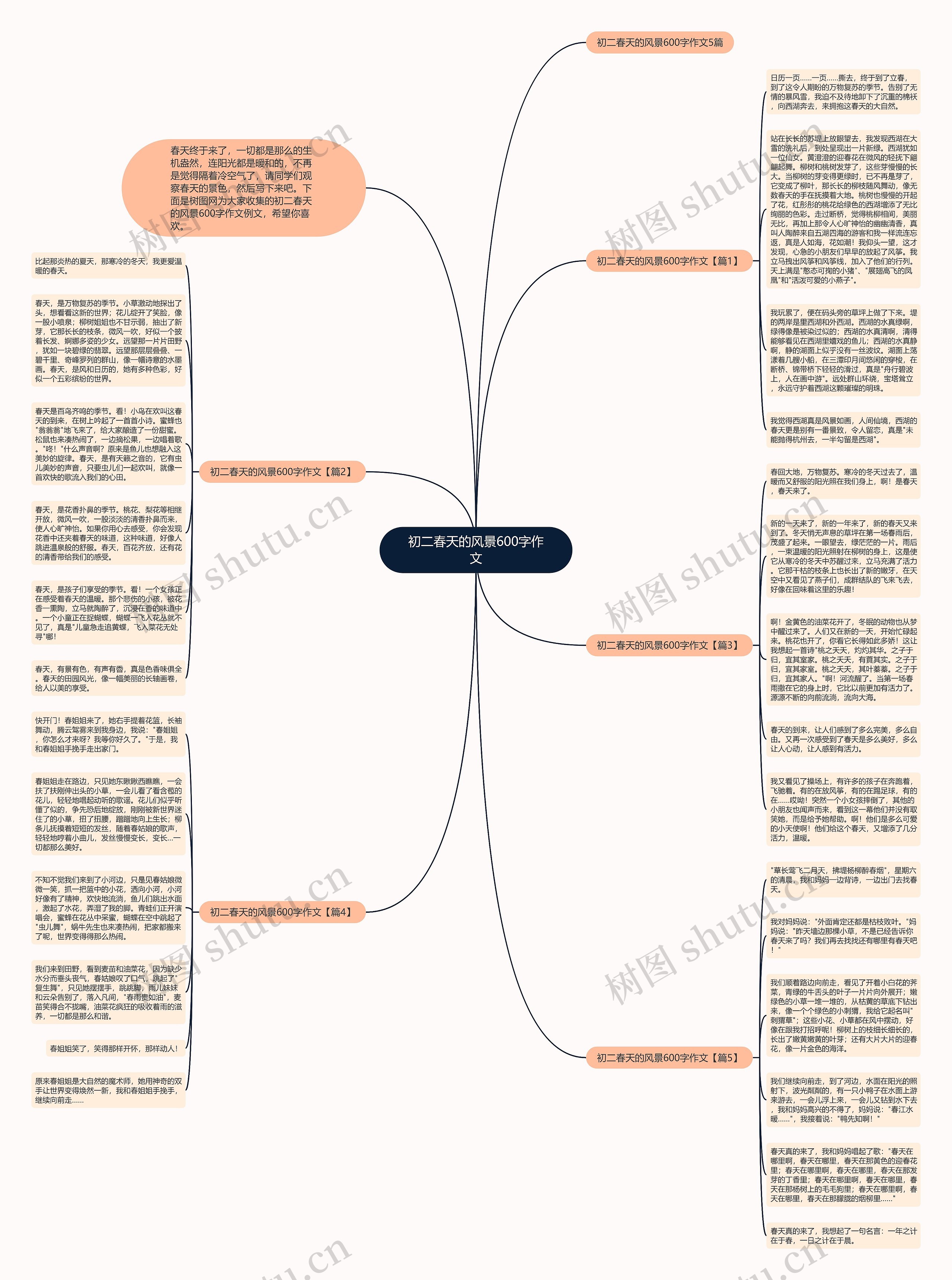 初二春天的风景600字作文思维导图