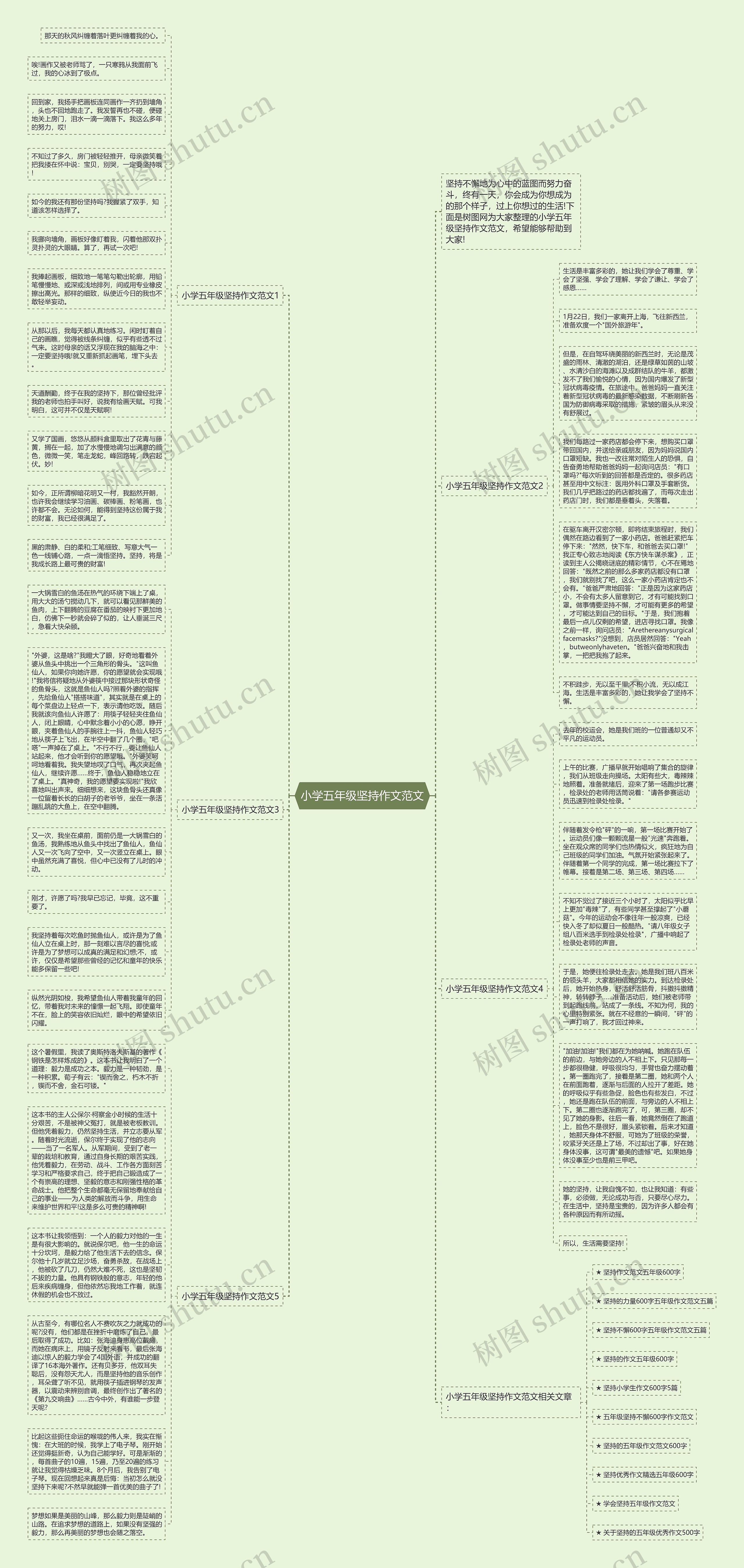 小学五年级坚持作文范文思维导图