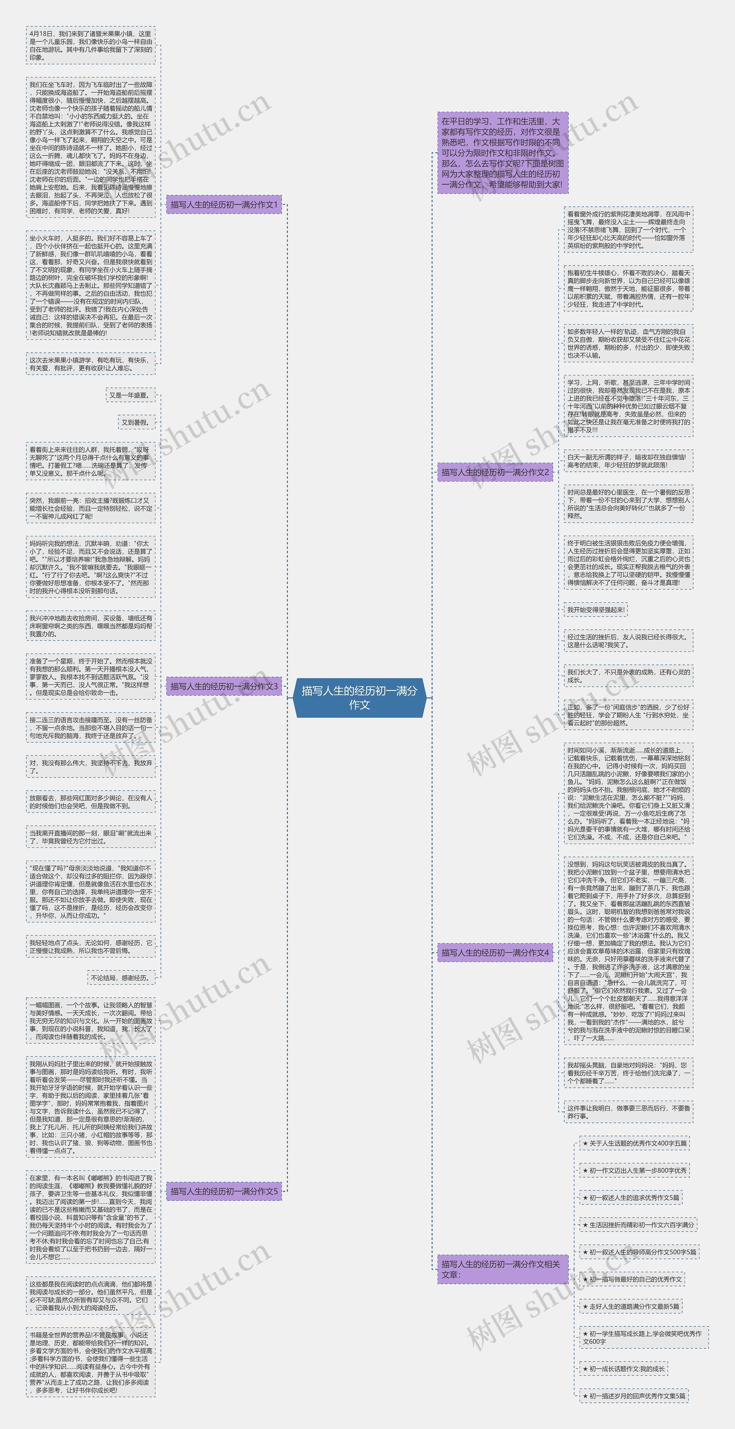 描写人生的经历初一满分作文思维导图