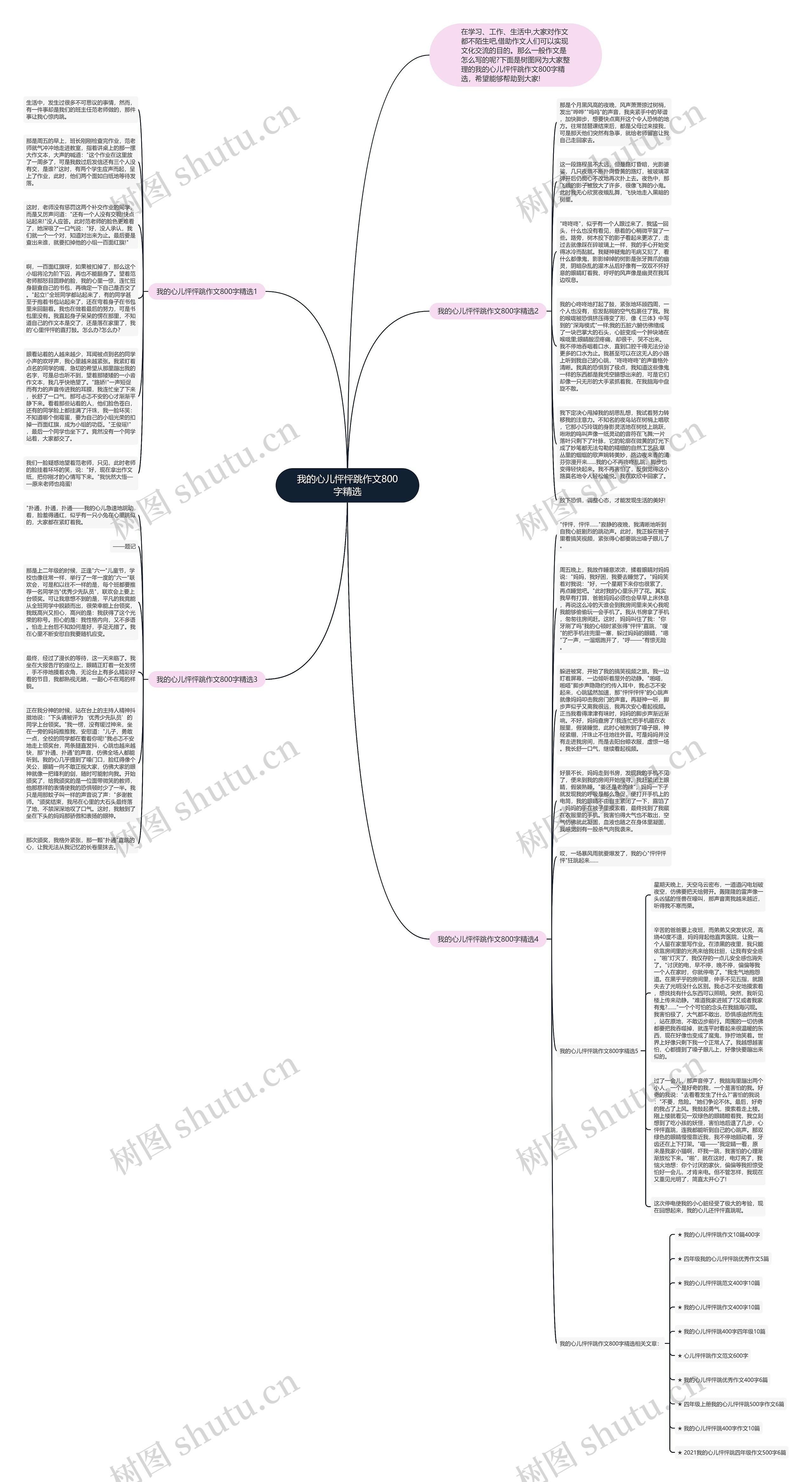 我的心儿怦怦跳作文800字精选思维导图