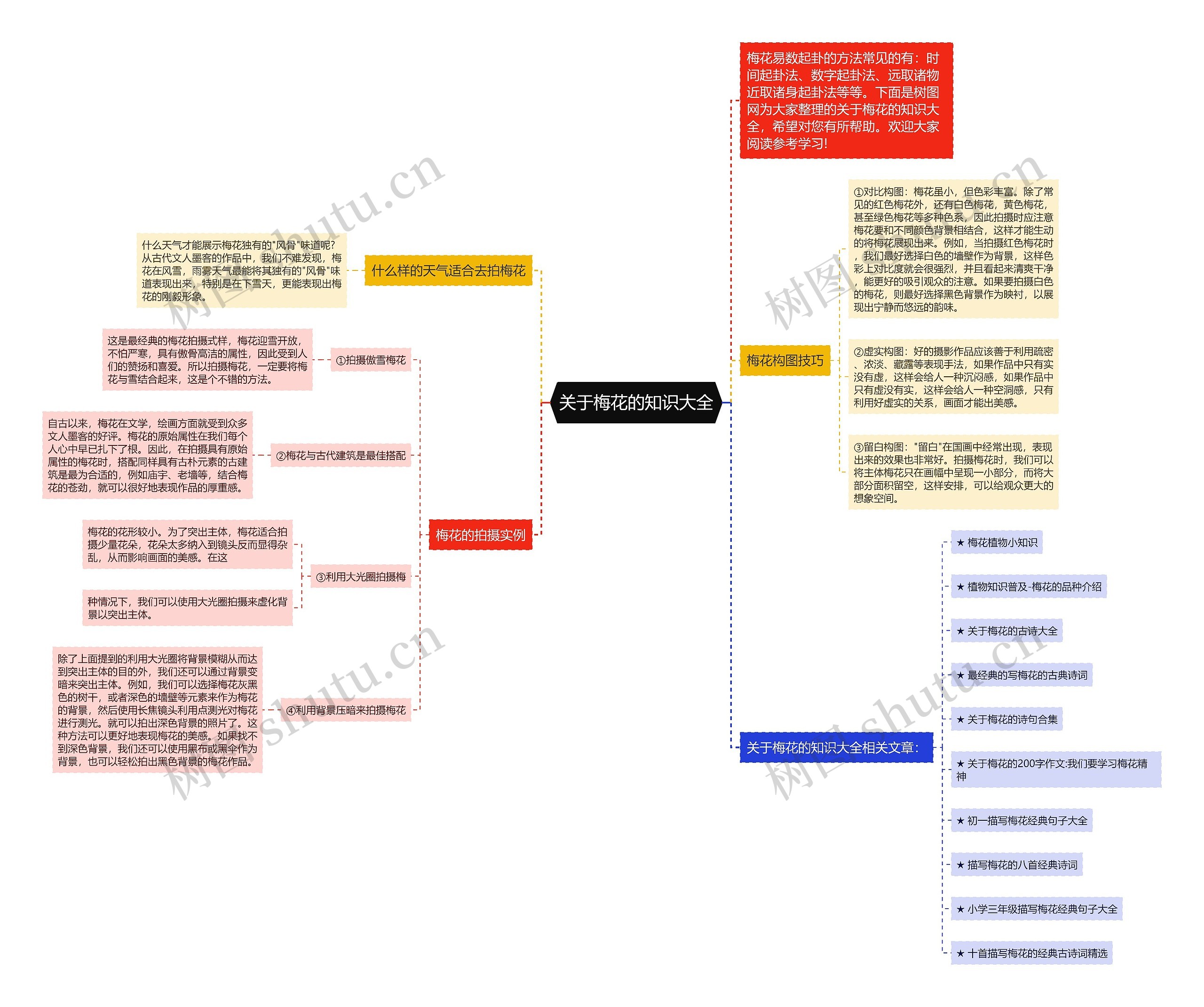 关于梅花的知识大全思维导图
