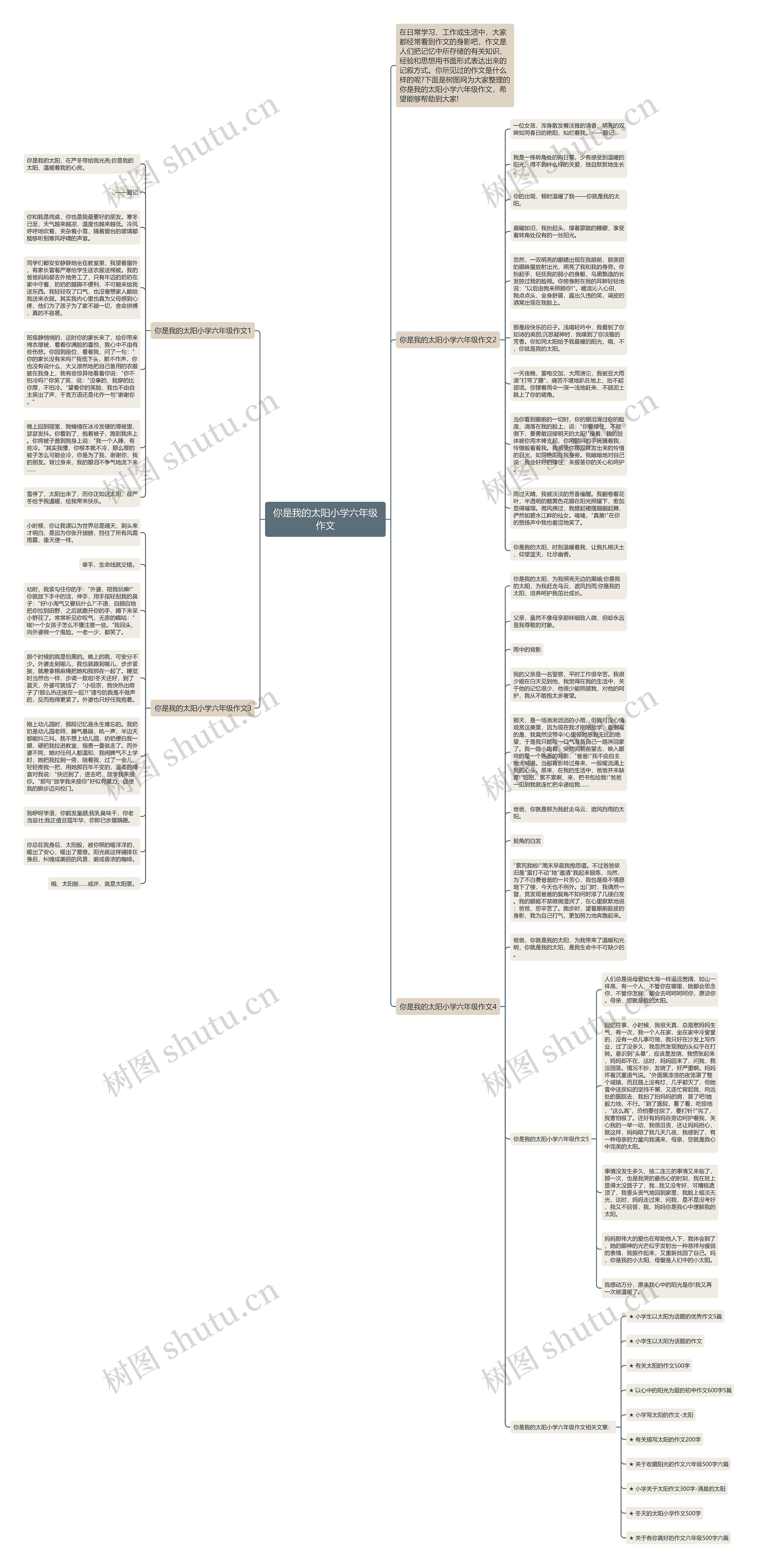 你是我的太阳小学六年级作文思维导图
