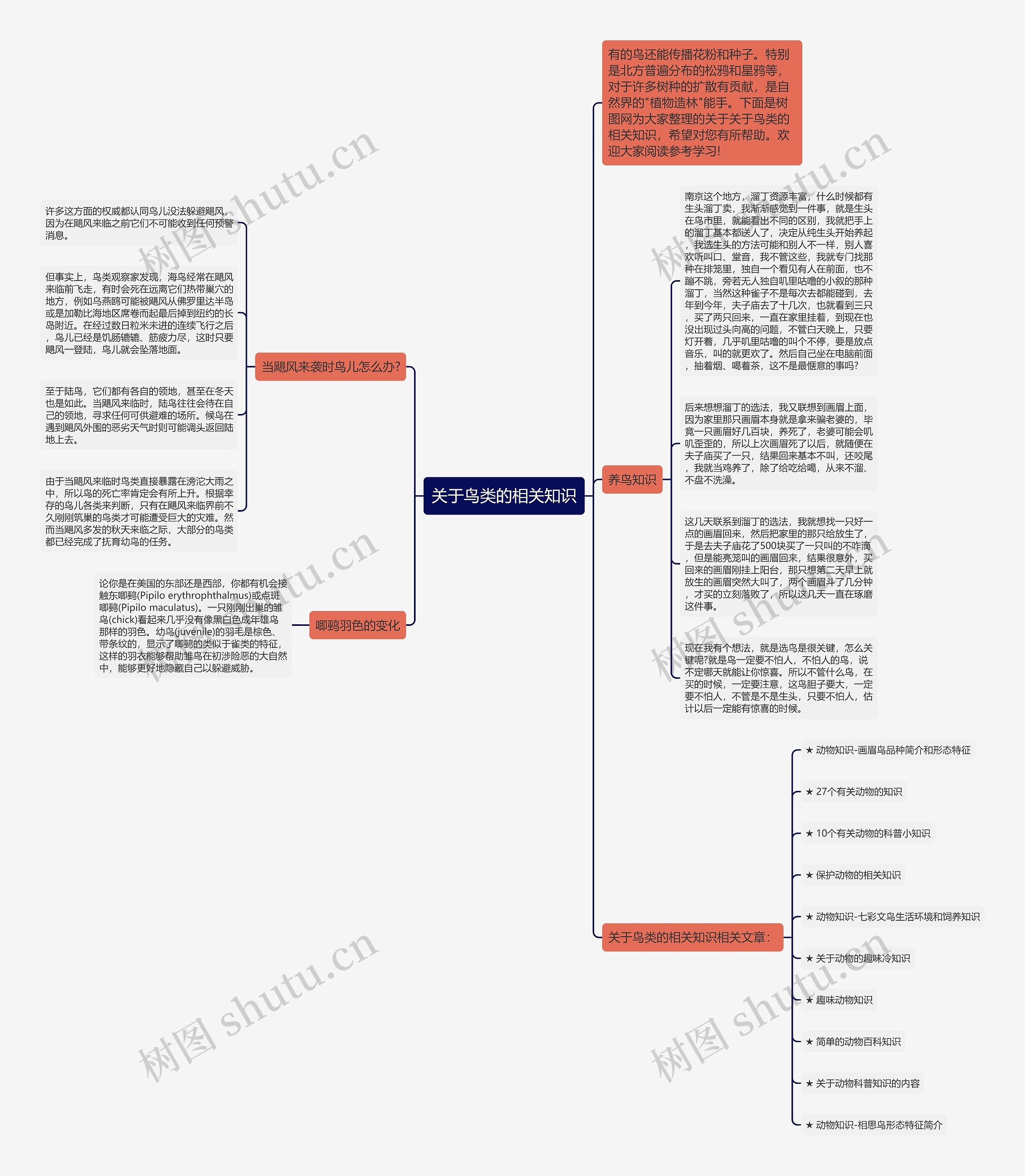 关于鸟类的相关知识思维导图