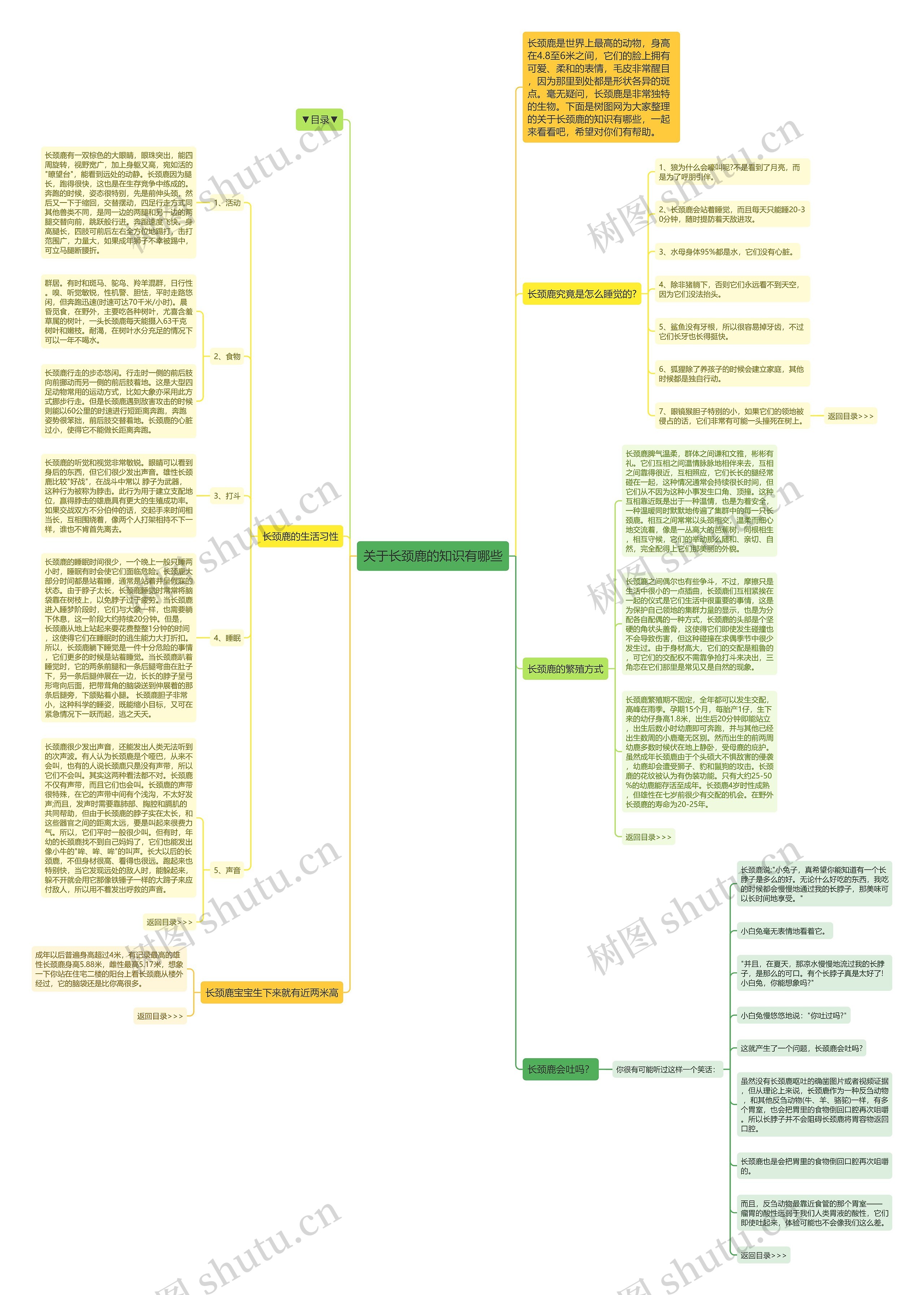 关于长颈鹿的知识有哪些思维导图