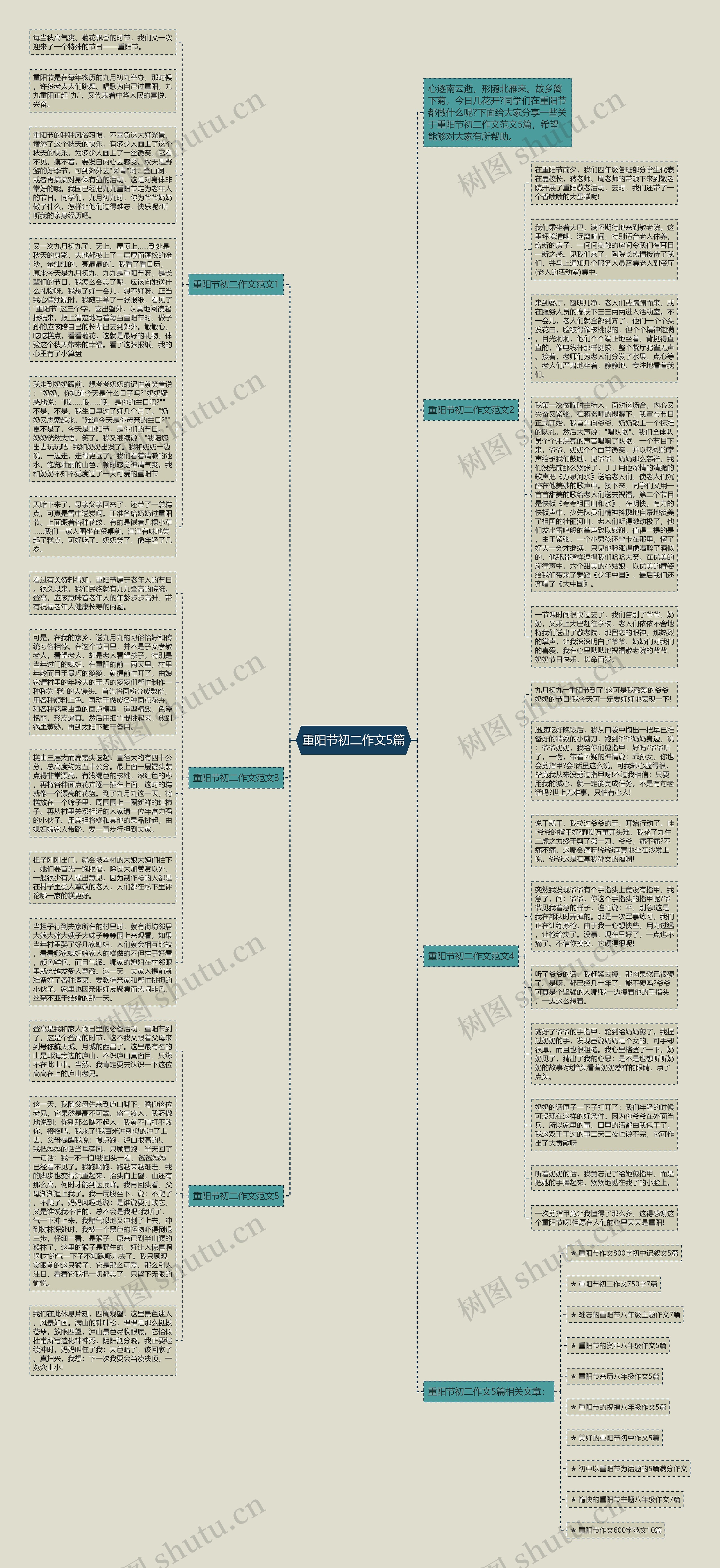 重阳节初二作文5篇思维导图