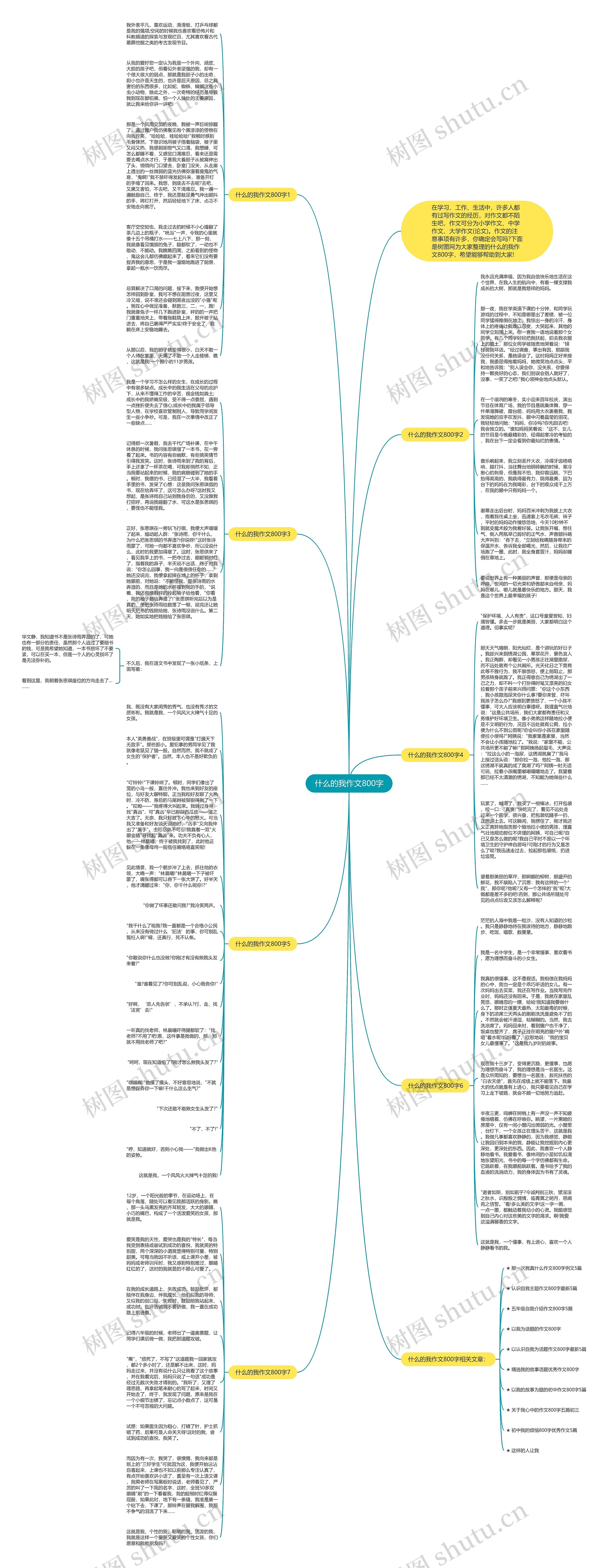 什么的我作文800字思维导图