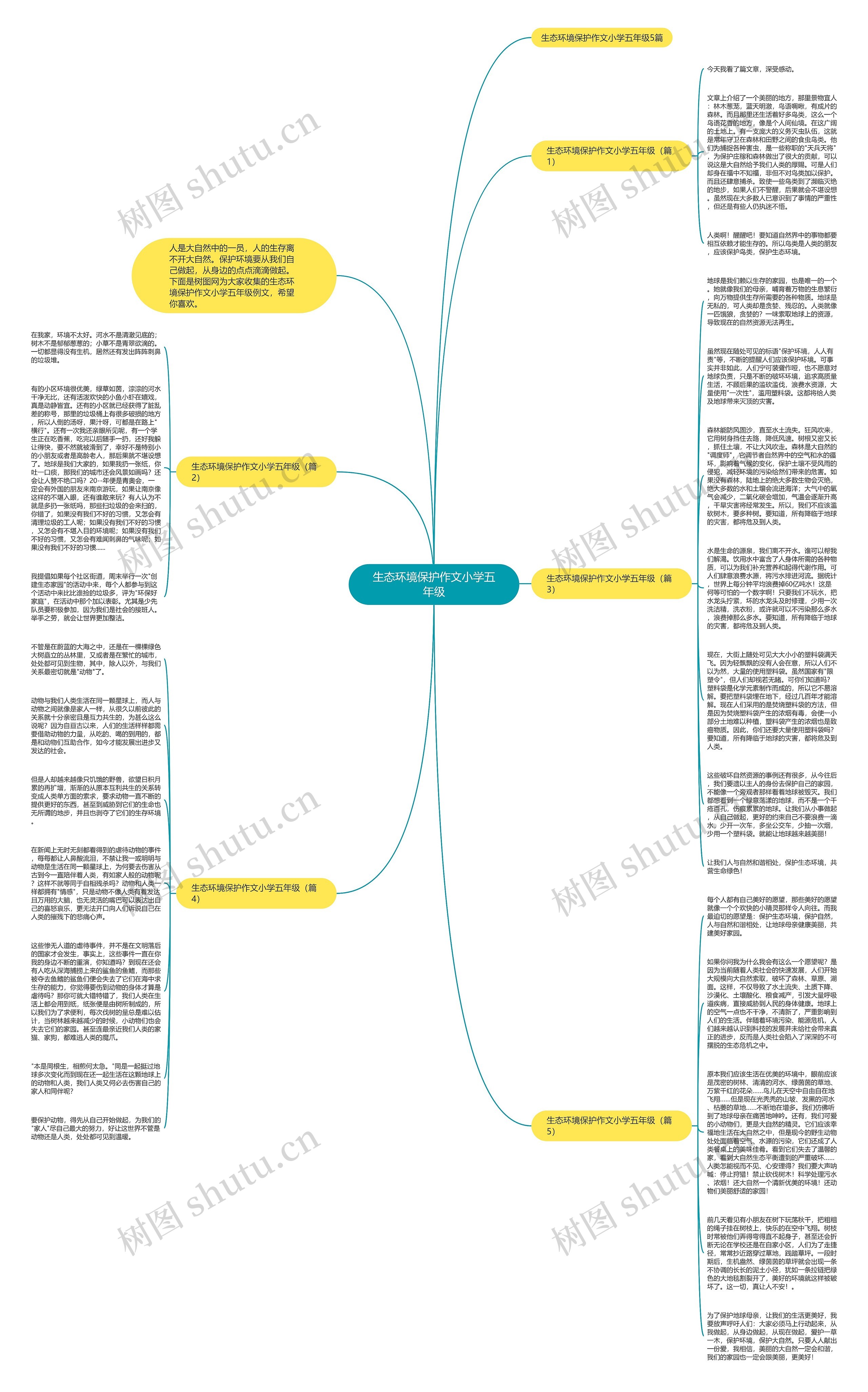 生态环境保护作文小学五年级思维导图