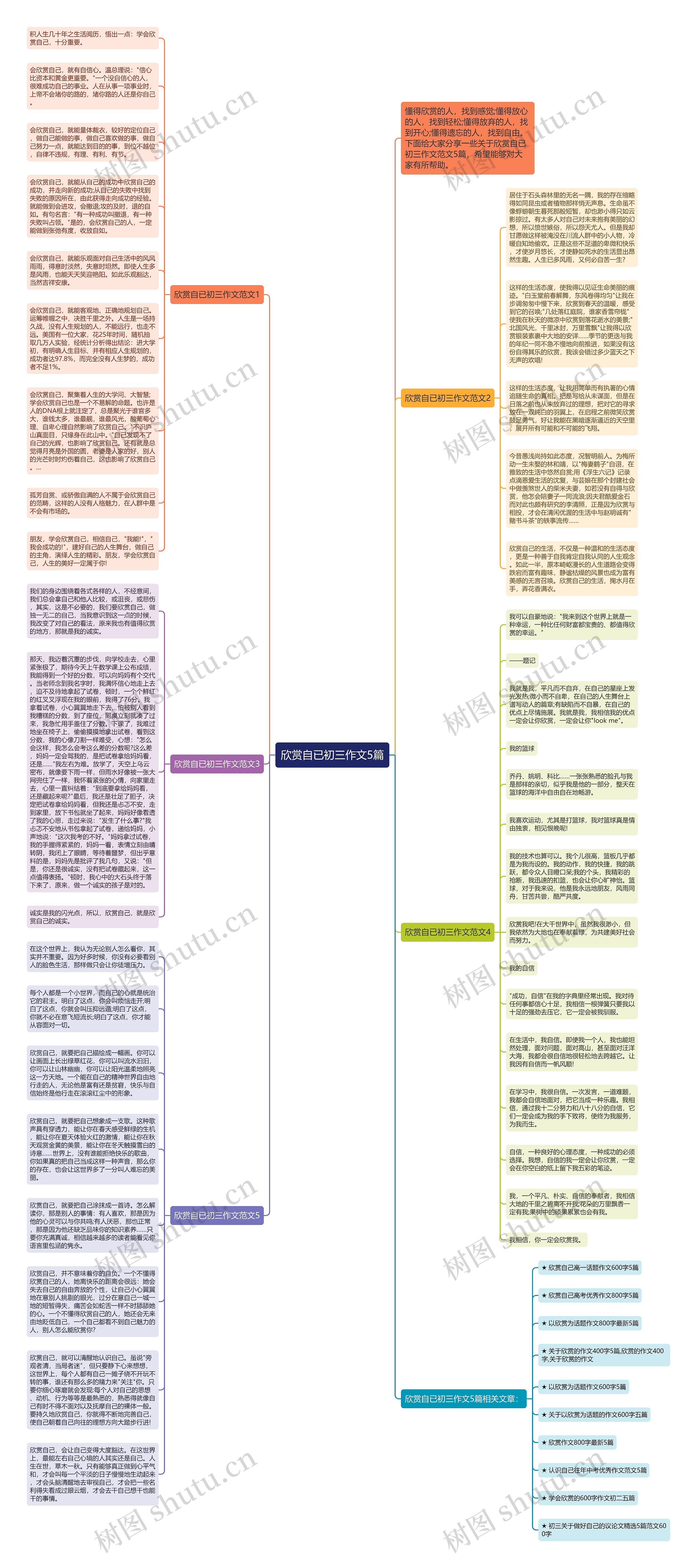 欣赏自已初三作文5篇思维导图