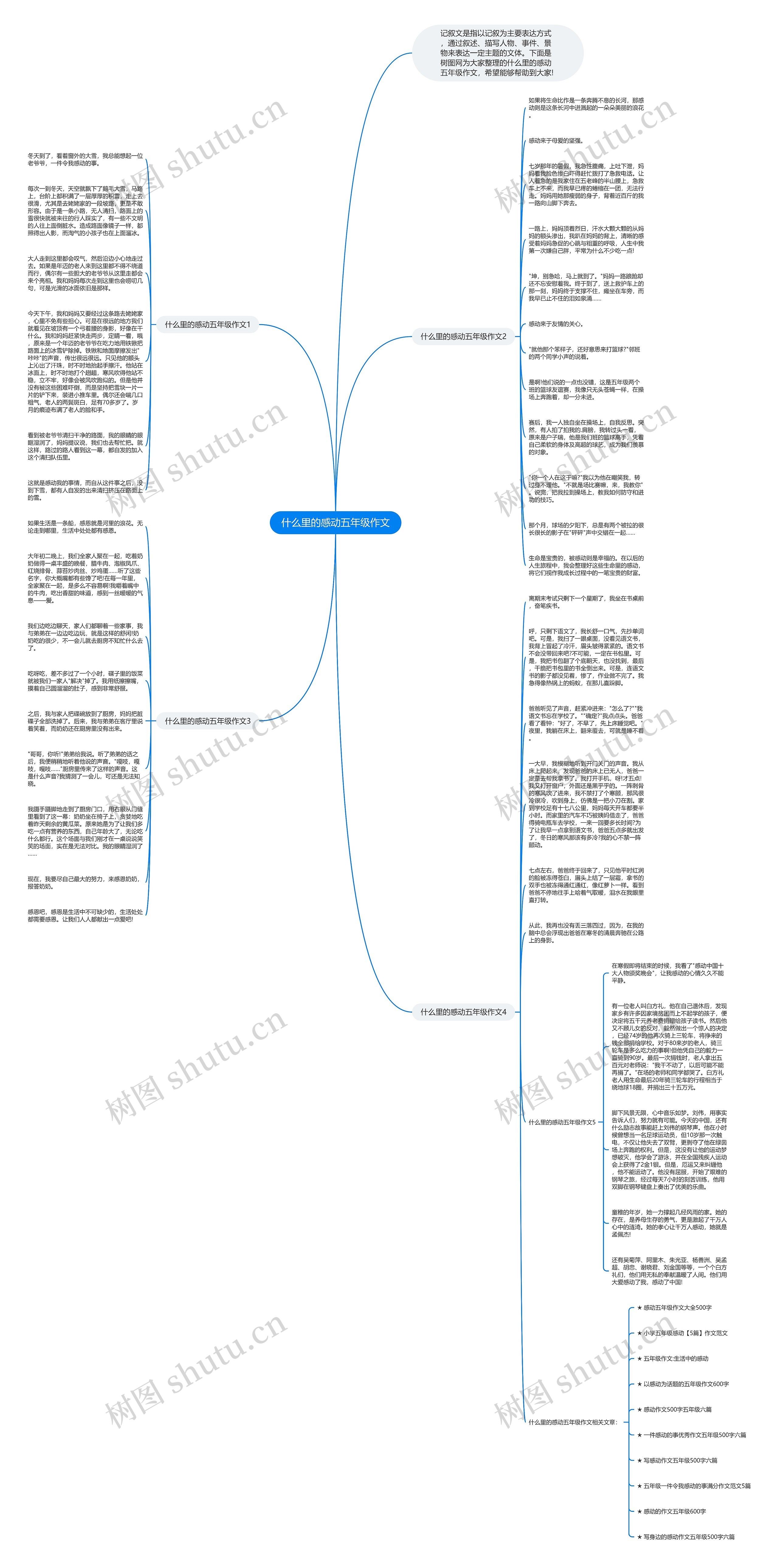 什么里的感动五年级作文思维导图