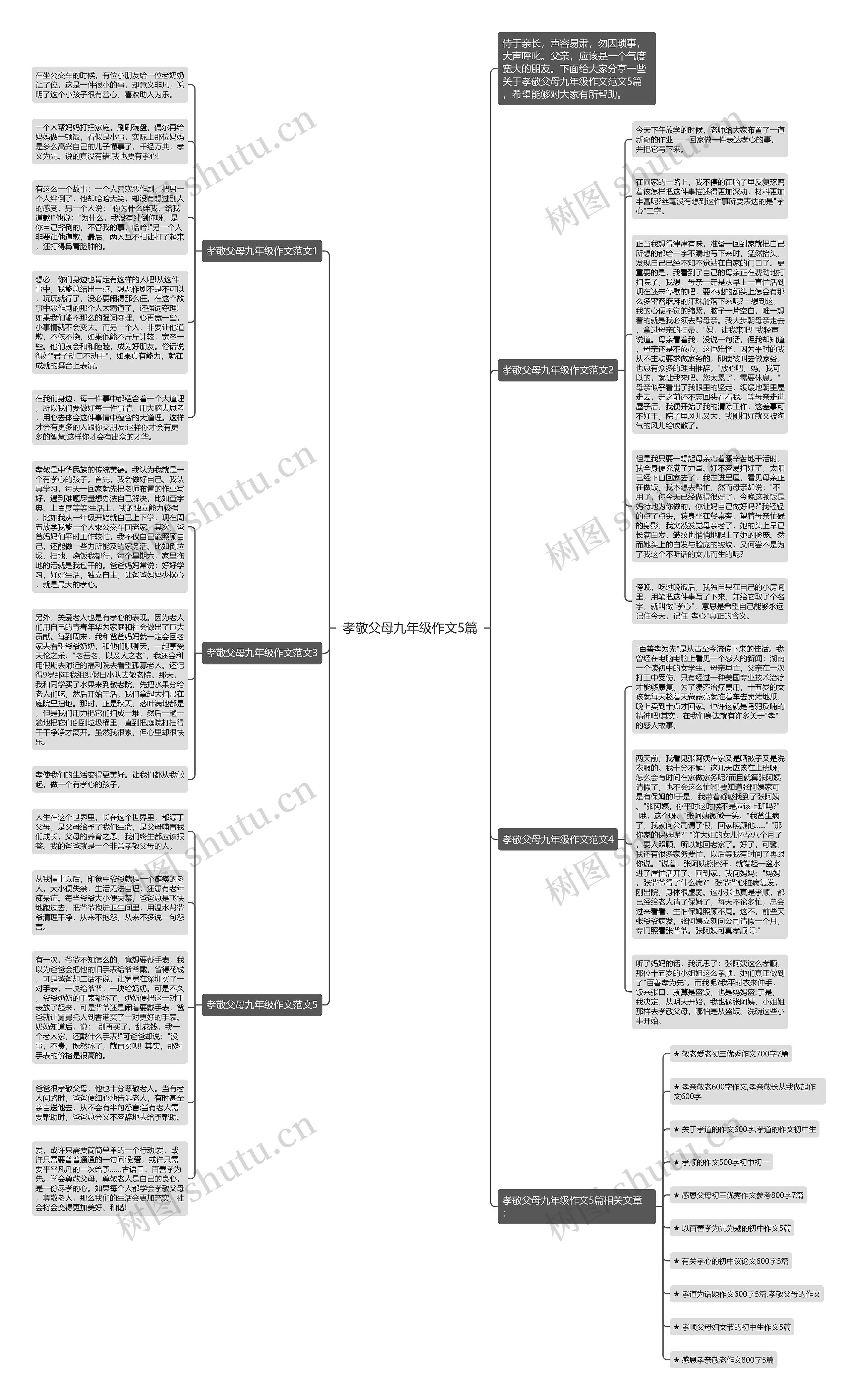 孝敬父母九年级作文5篇思维导图