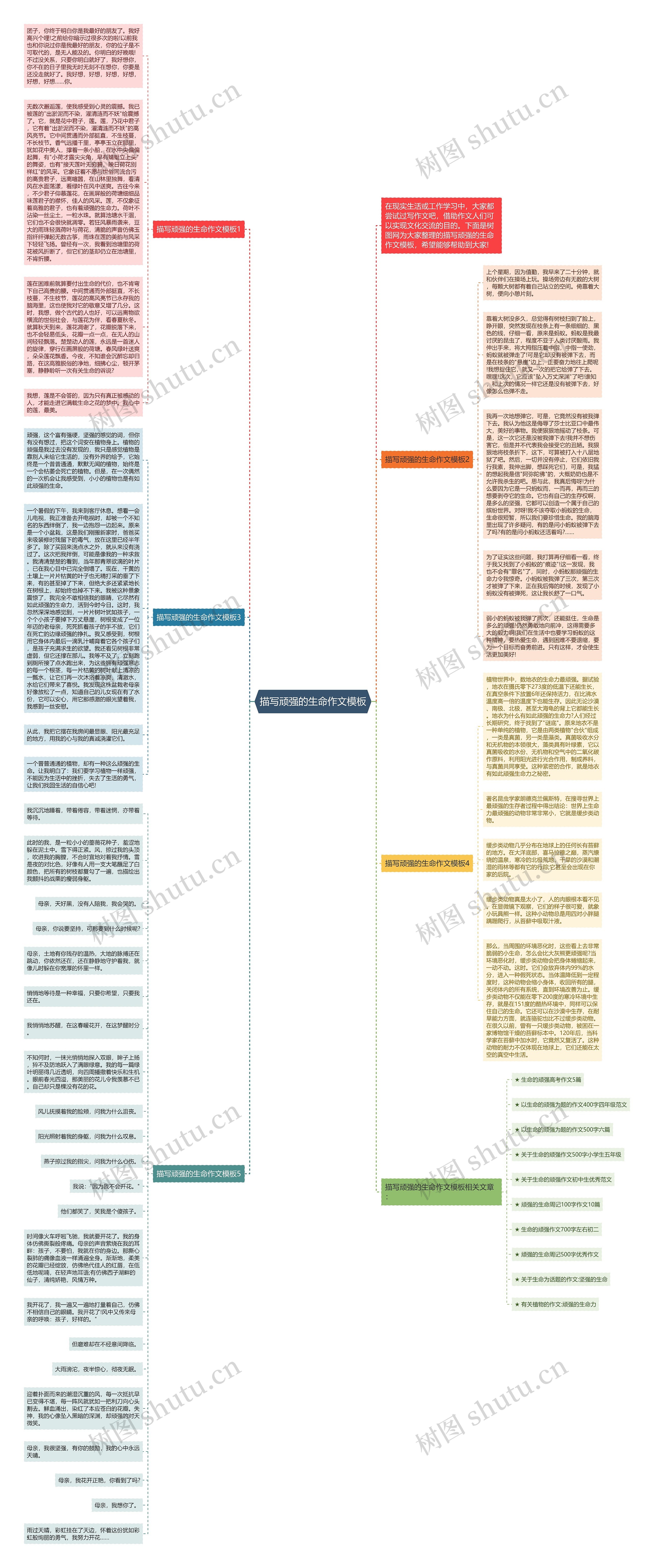描写顽强的生命作文思维导图