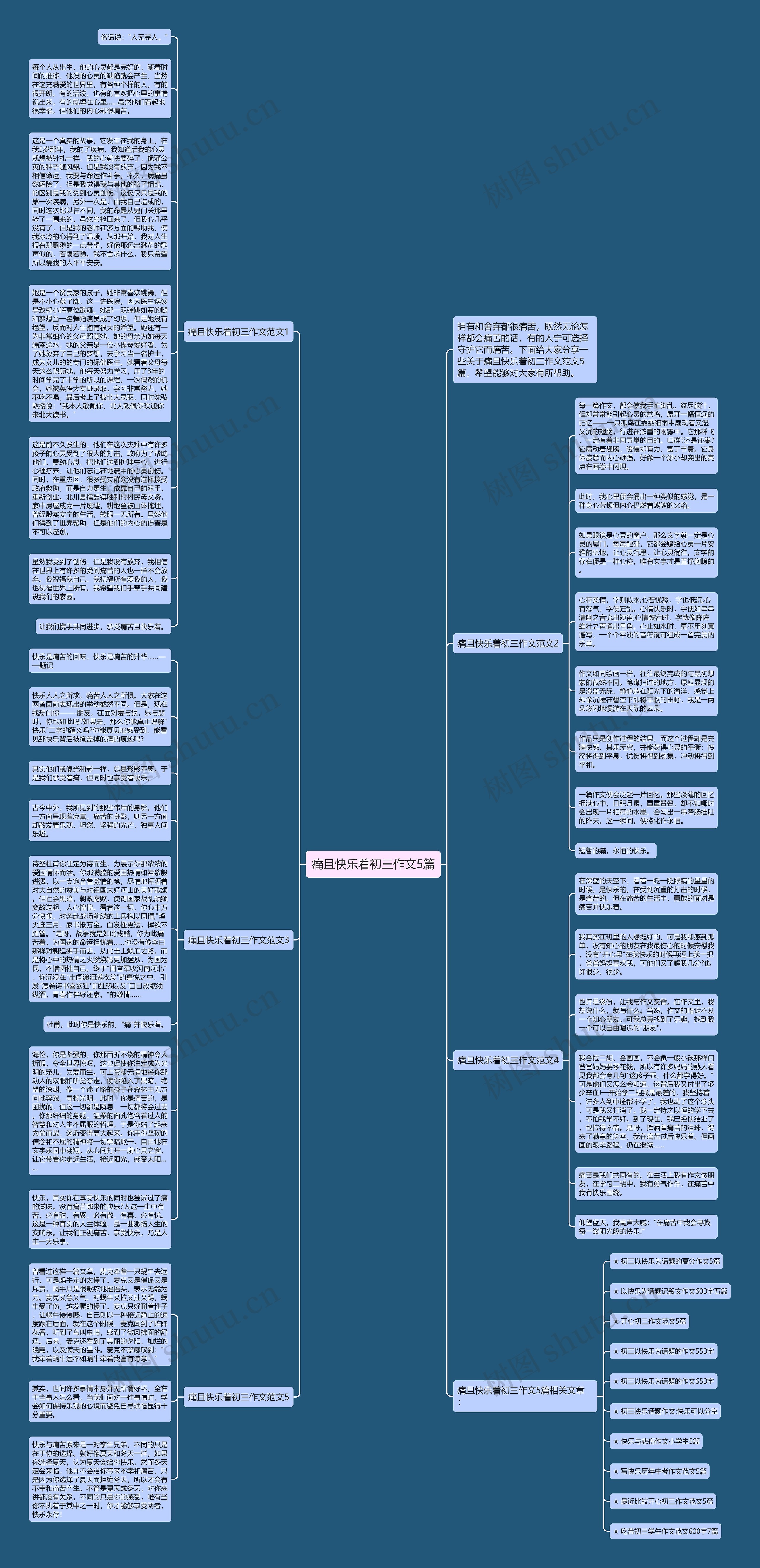 痛且快乐着初三作文5篇思维导图