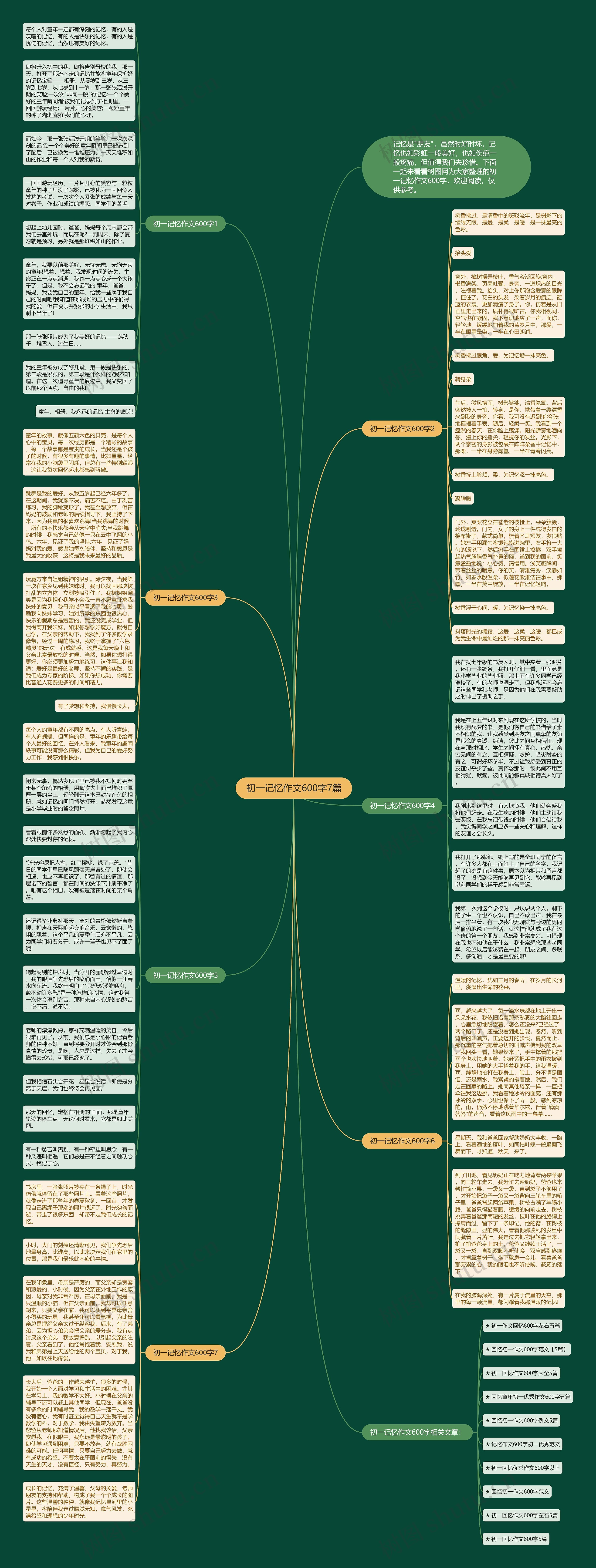 初一记忆作文600字7篇