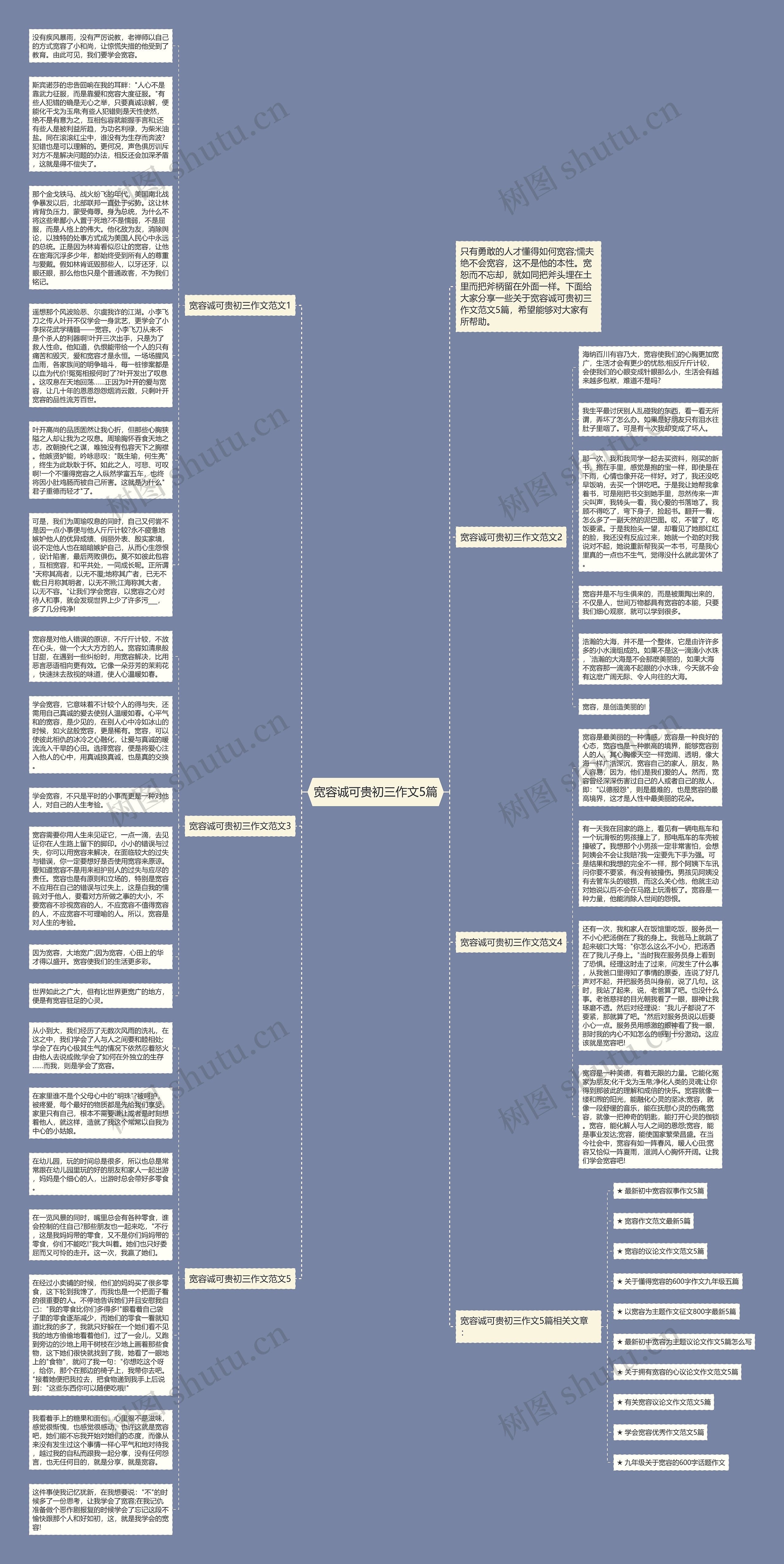 宽容诚可贵初三作文5篇思维导图