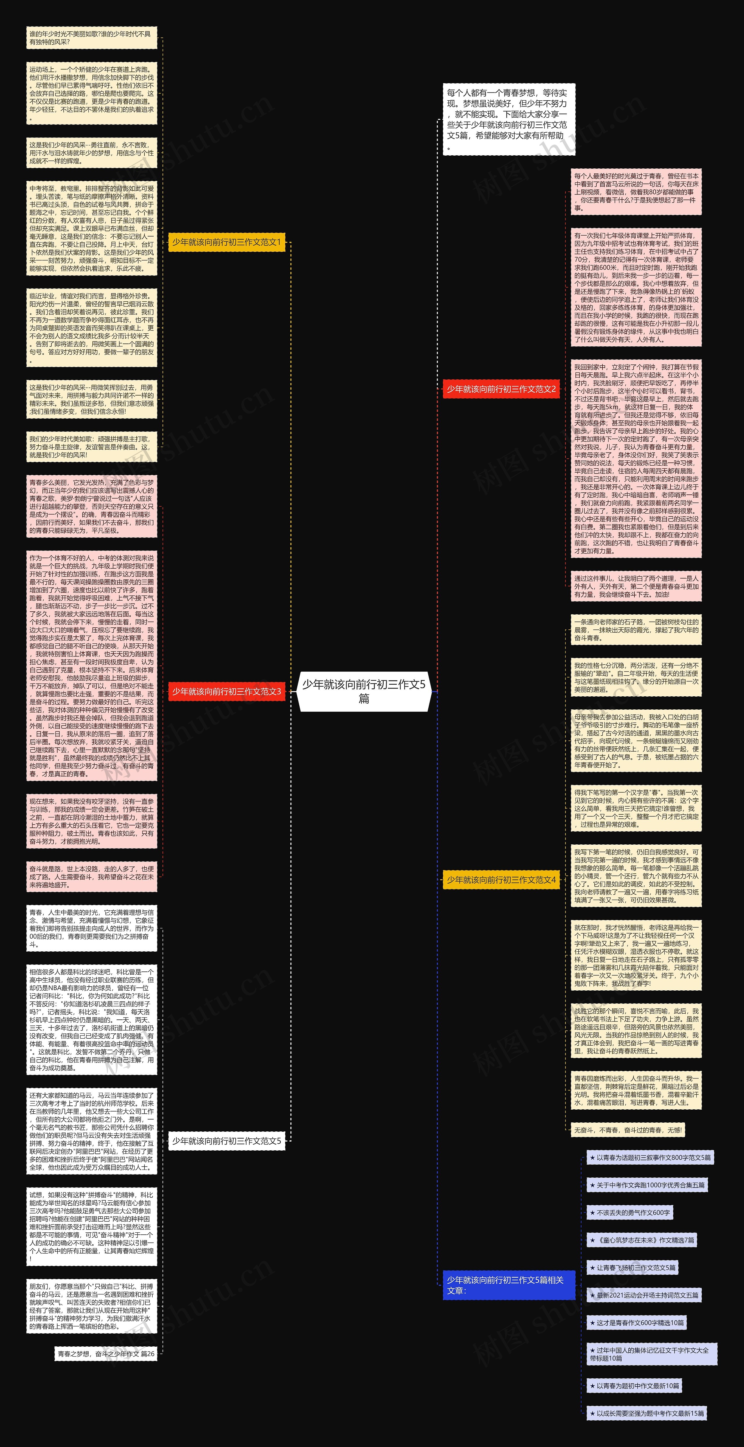 少年就该向前行初三作文5篇思维导图