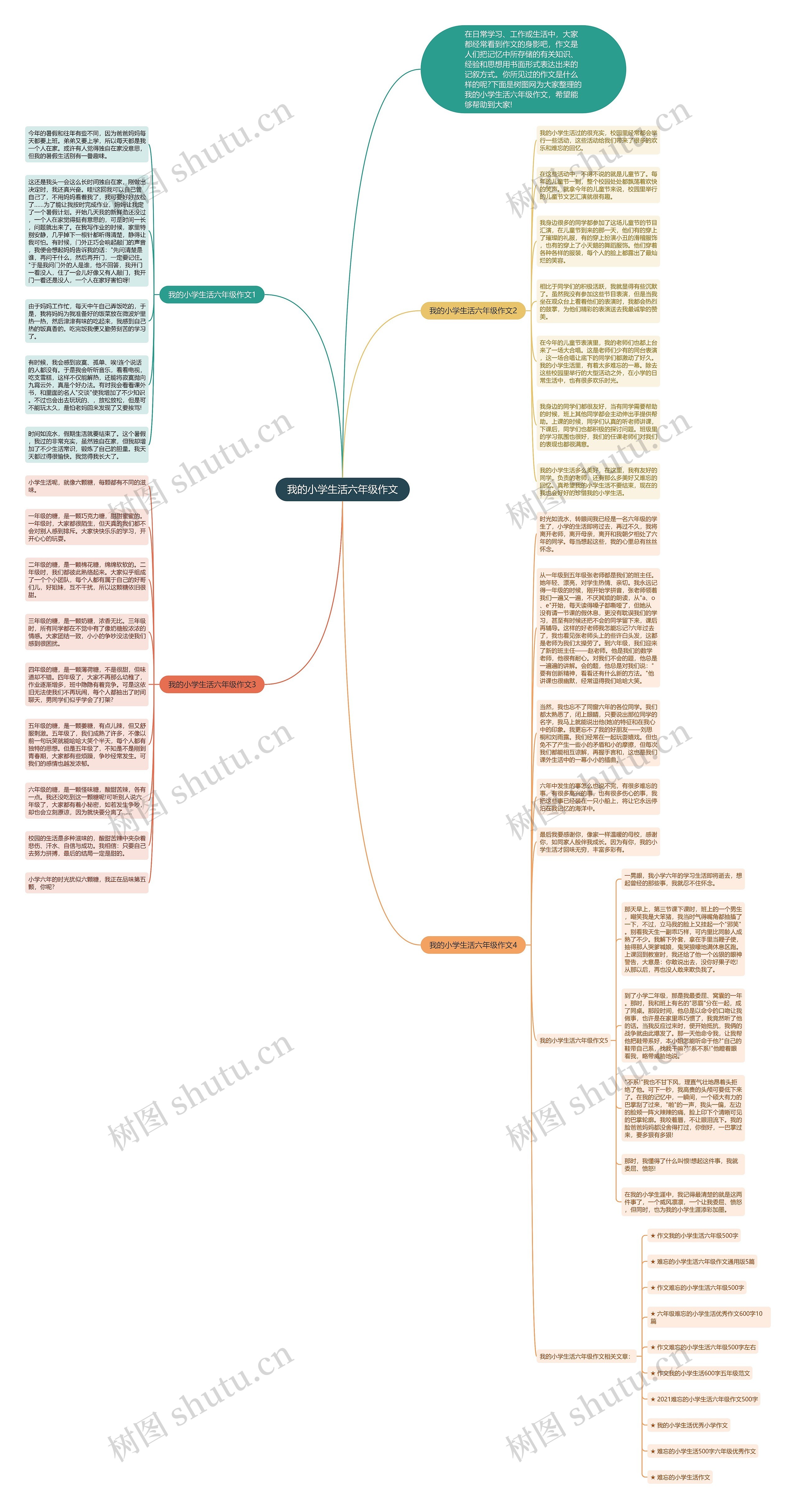我的小学生活六年级作文思维导图