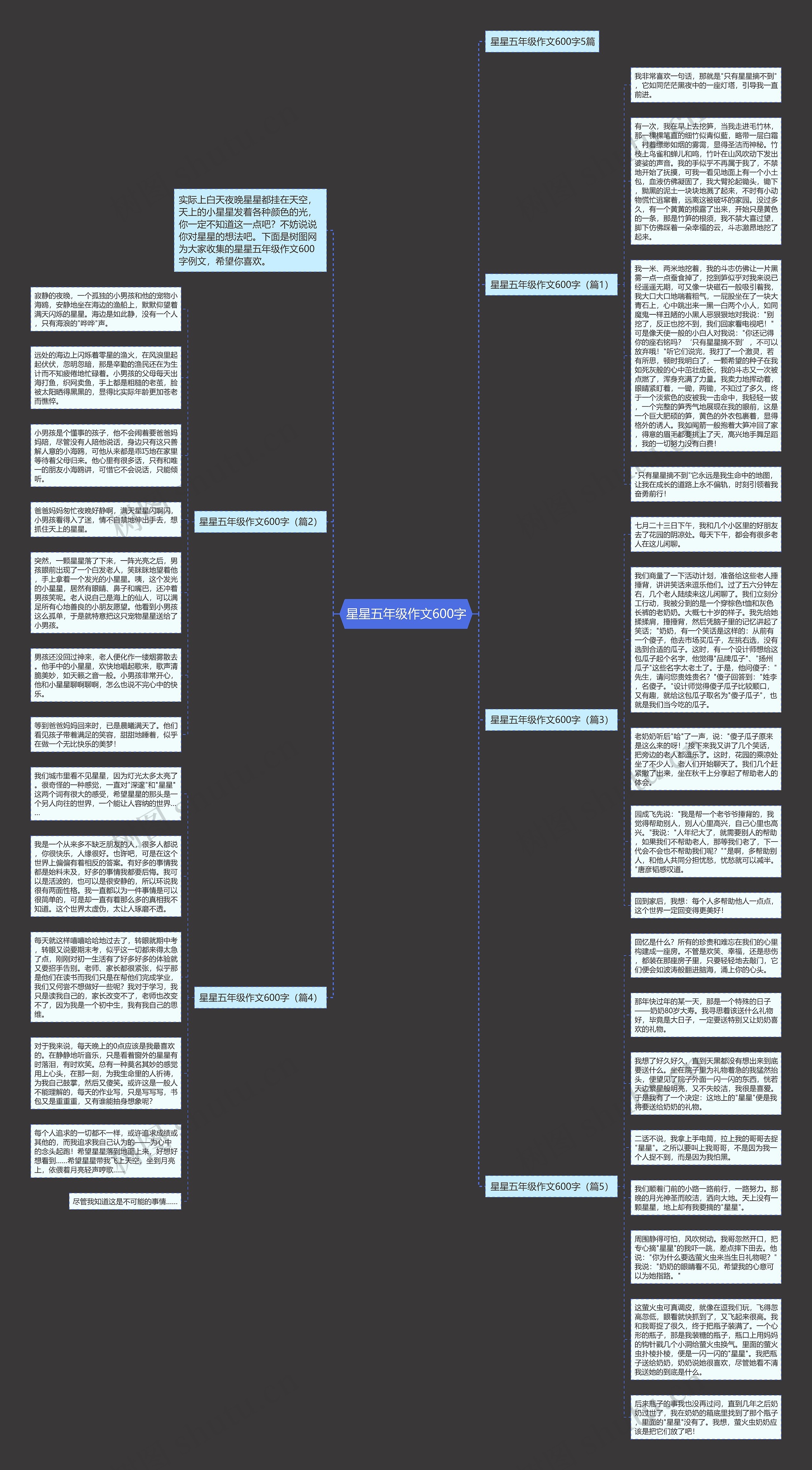 星星五年级作文600字