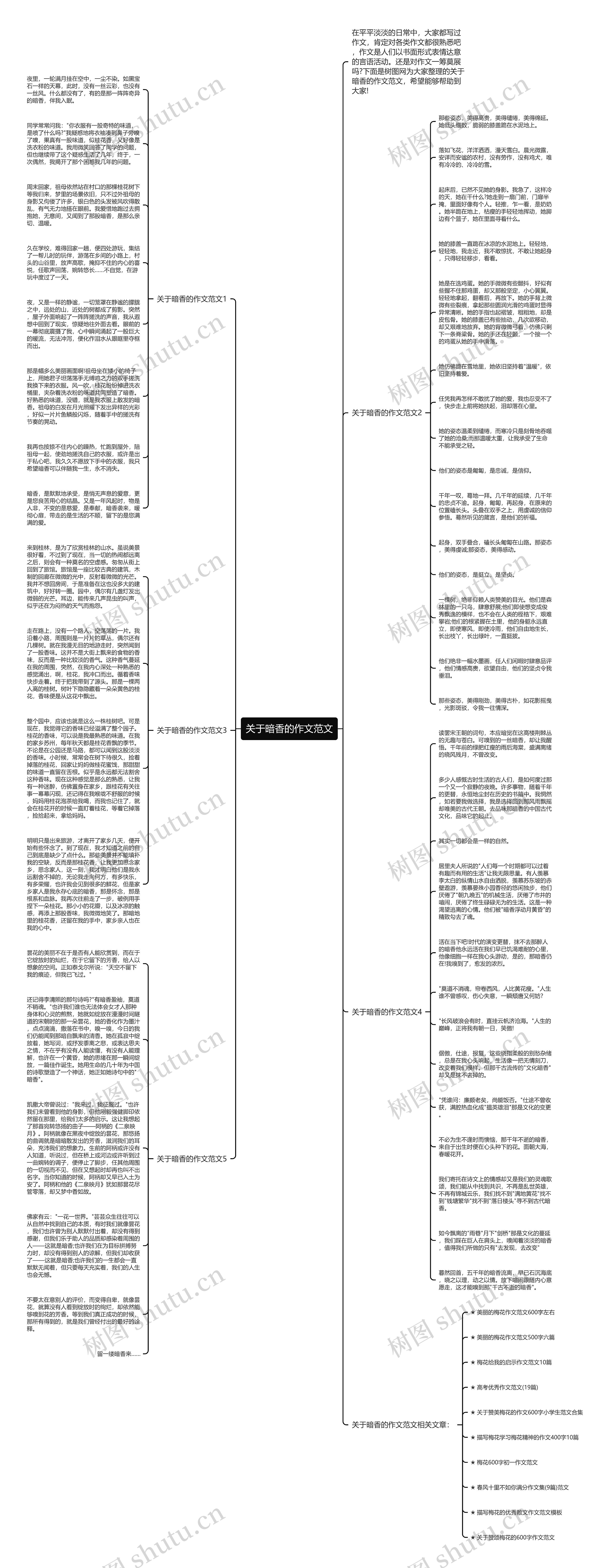 关于暗香的作文范文
