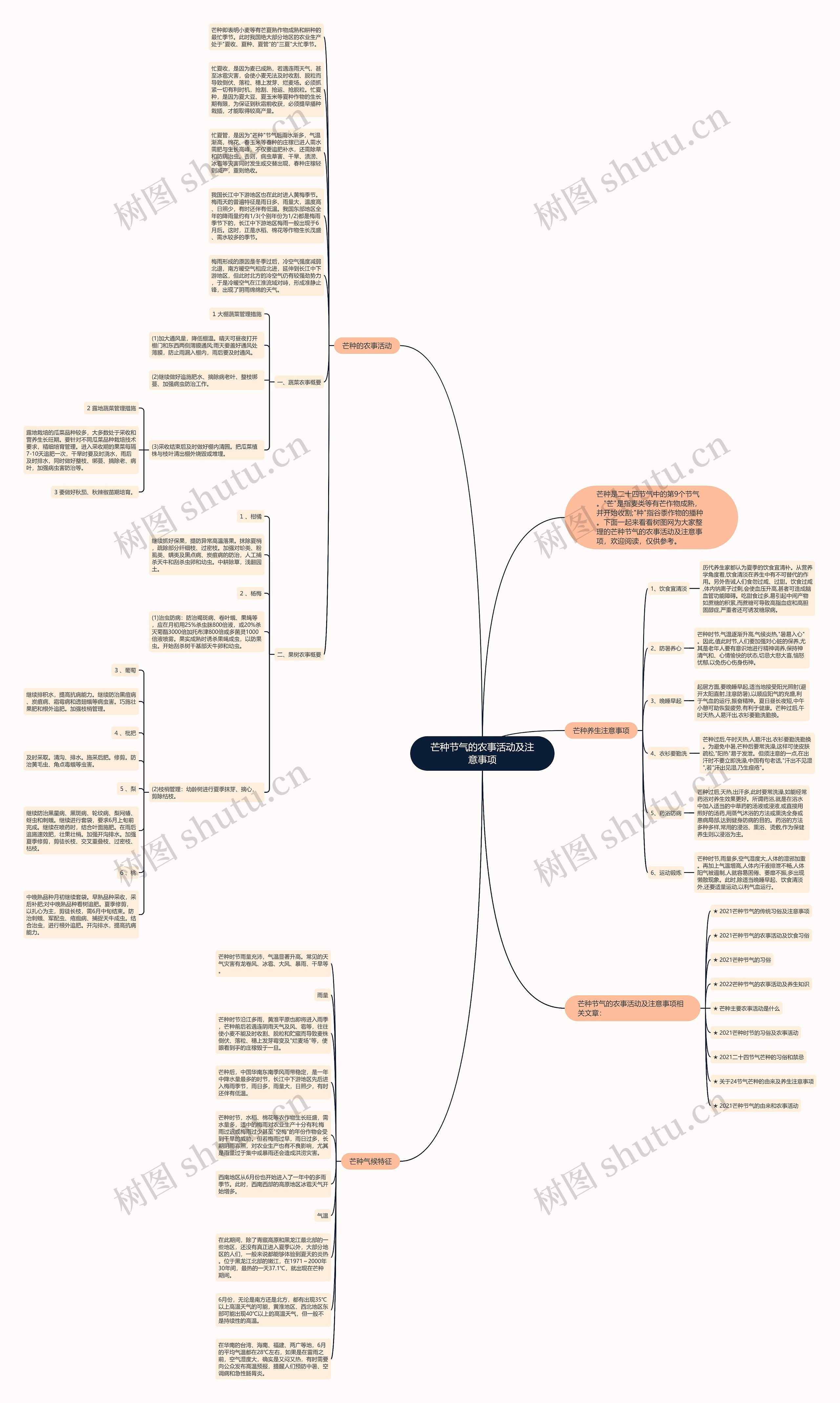 芒种节气的农事活动及注意事项思维导图