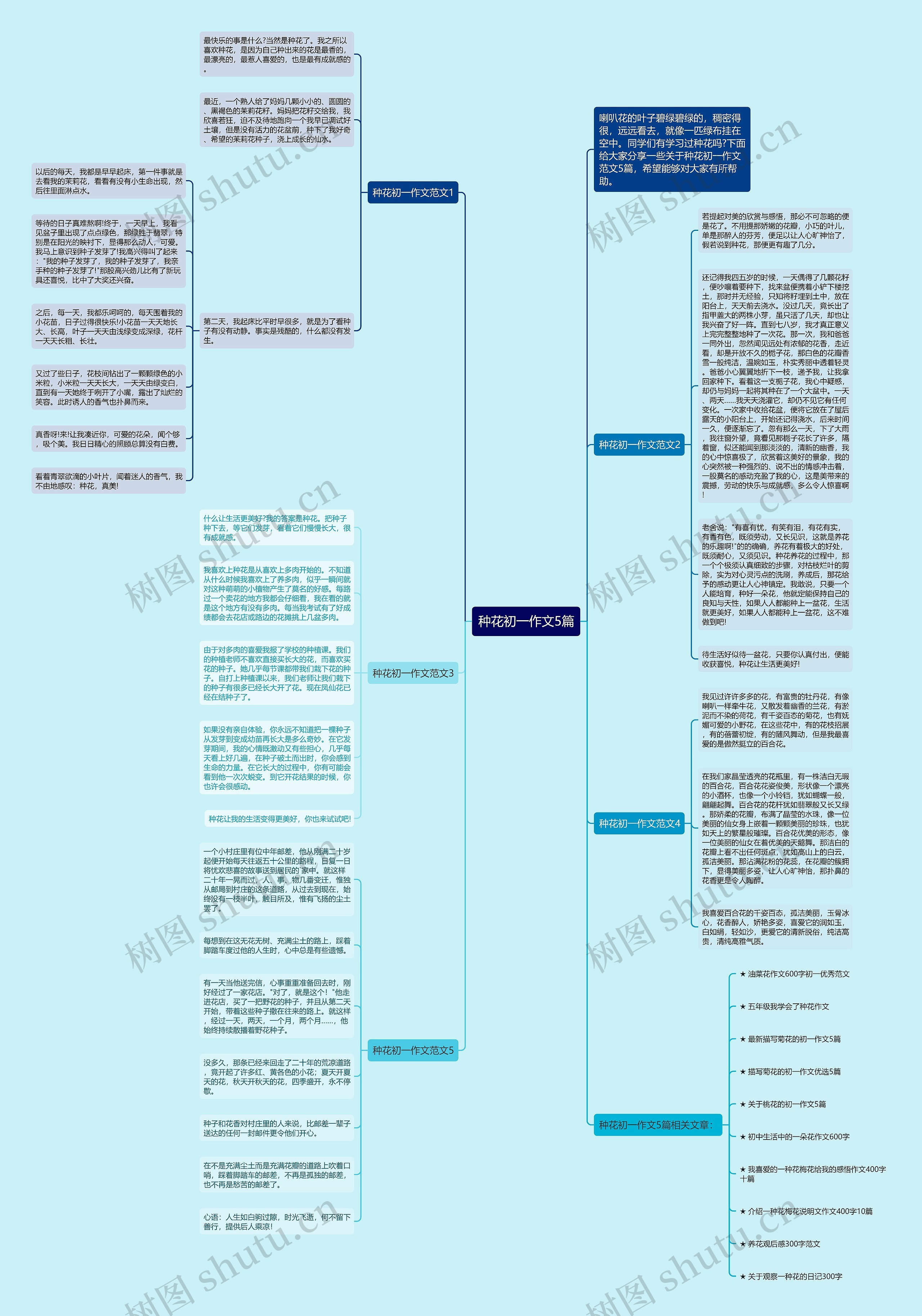 种花初一作文5篇思维导图