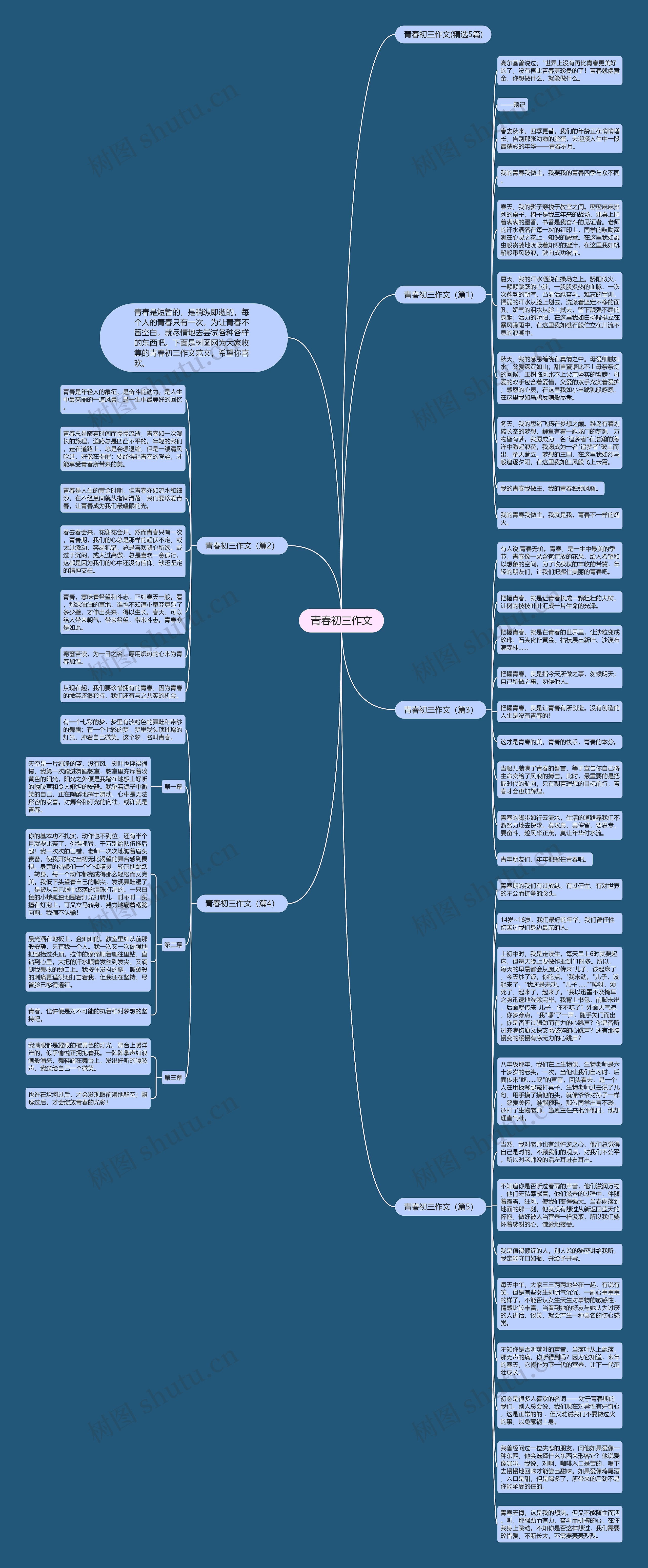 青春初三作文思维导图