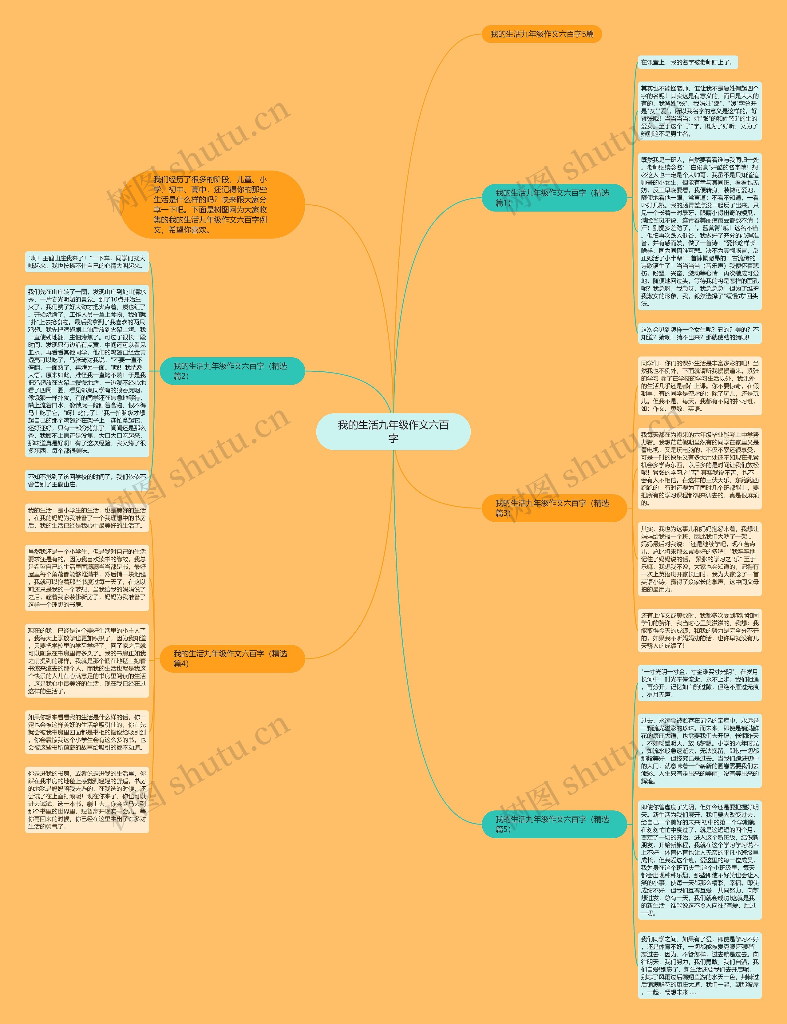 我的生活九年级作文六百字思维导图