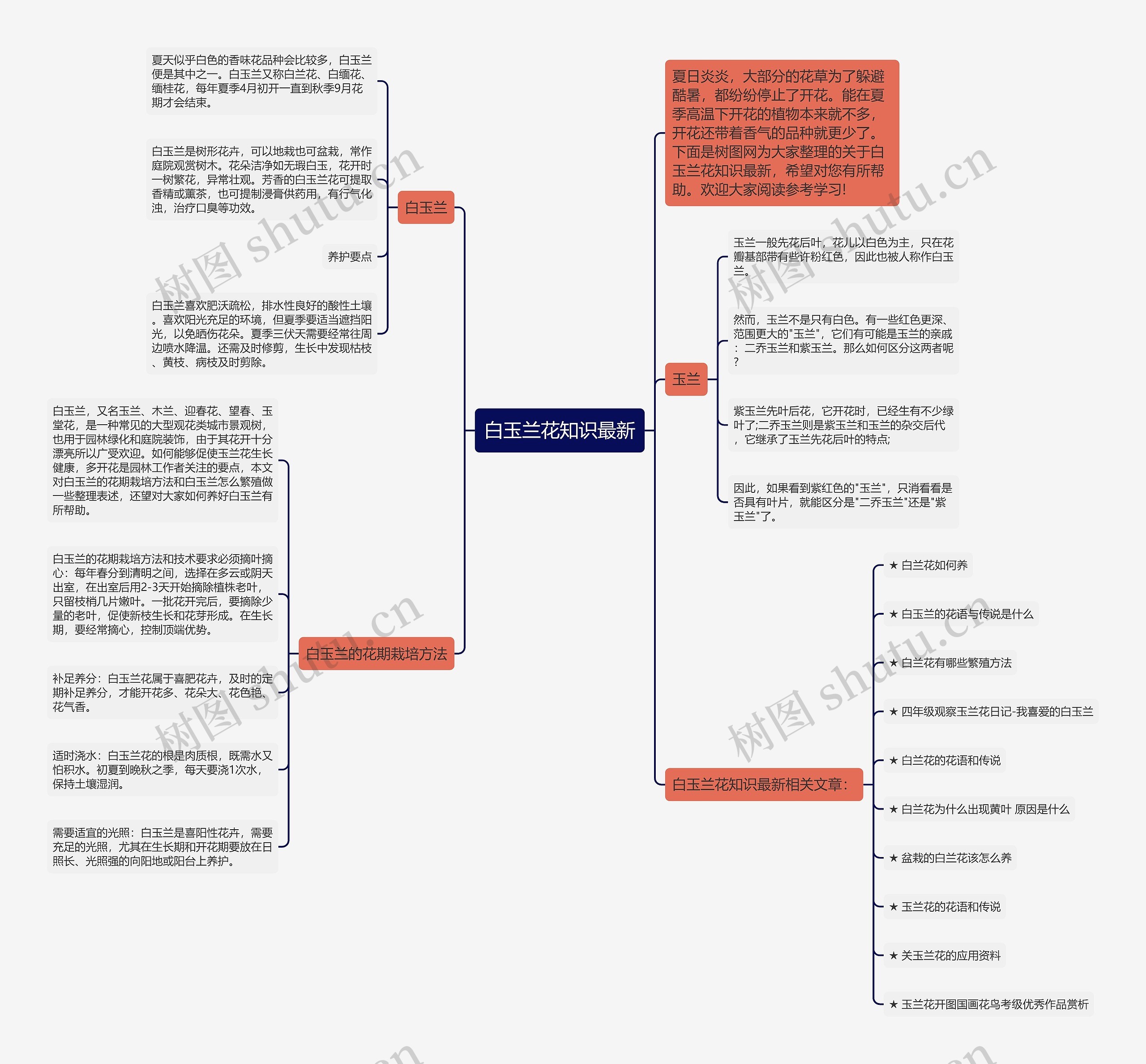 白玉兰花知识最新思维导图