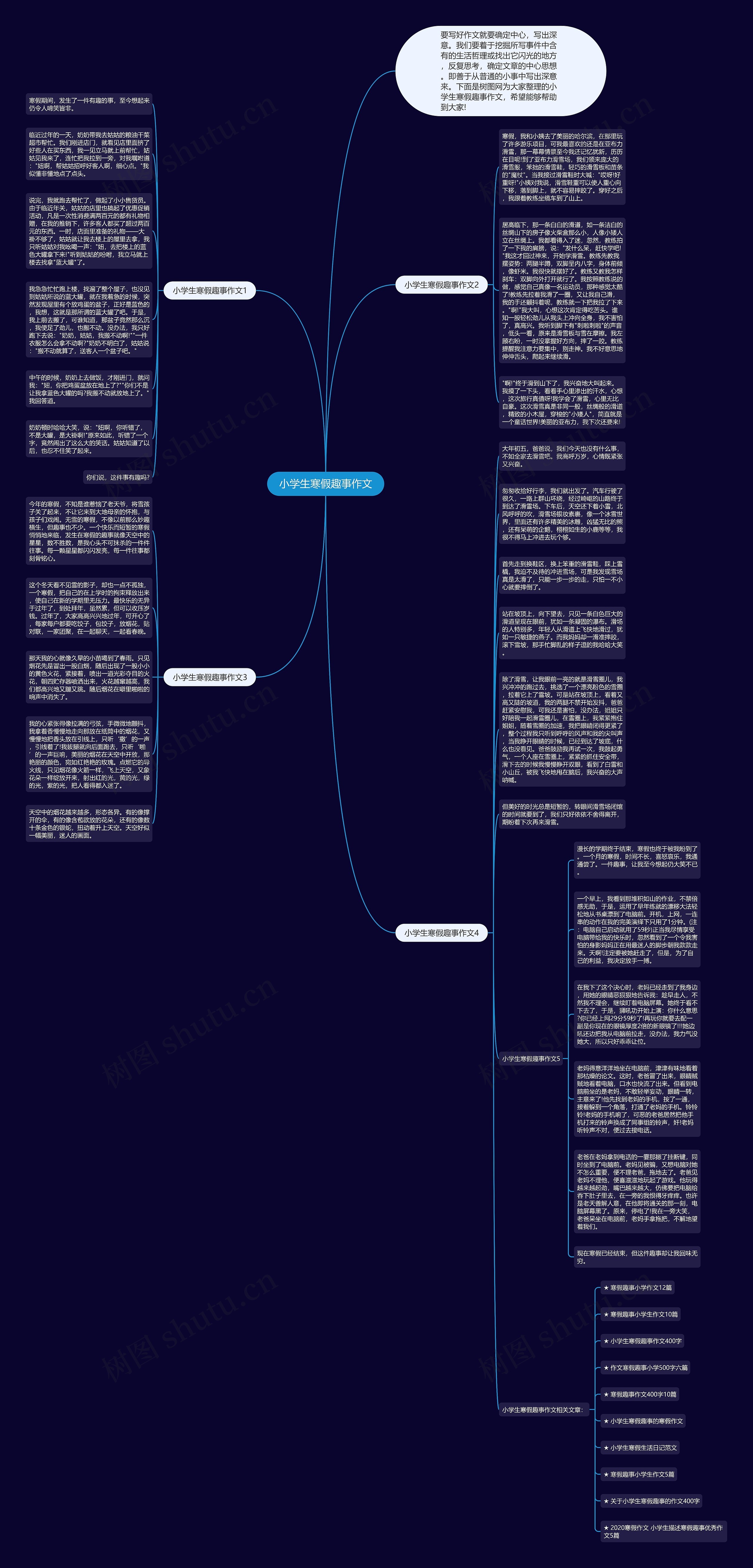 小学生寒假趣事作文思维导图