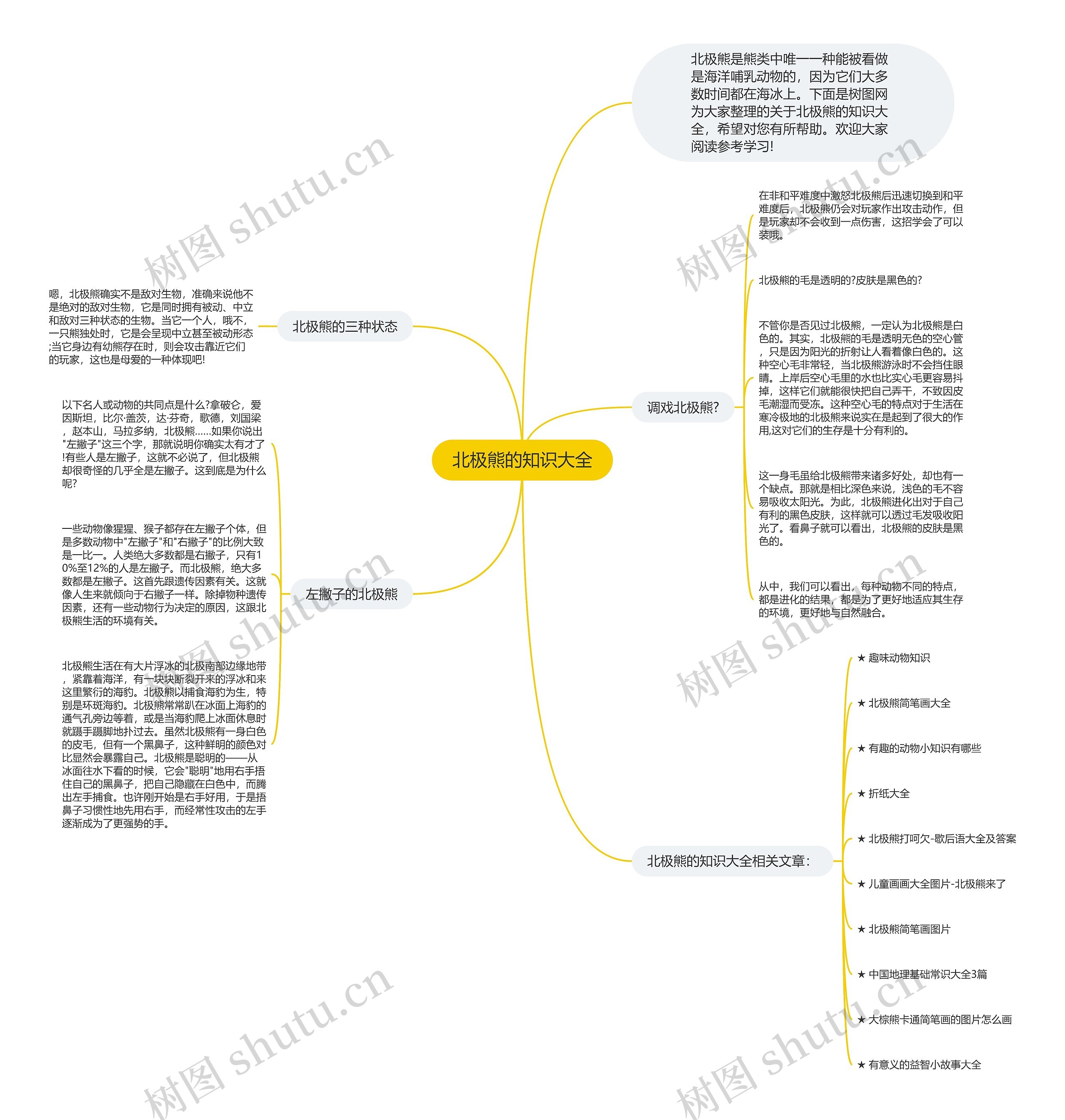 北极熊的知识大全思维导图