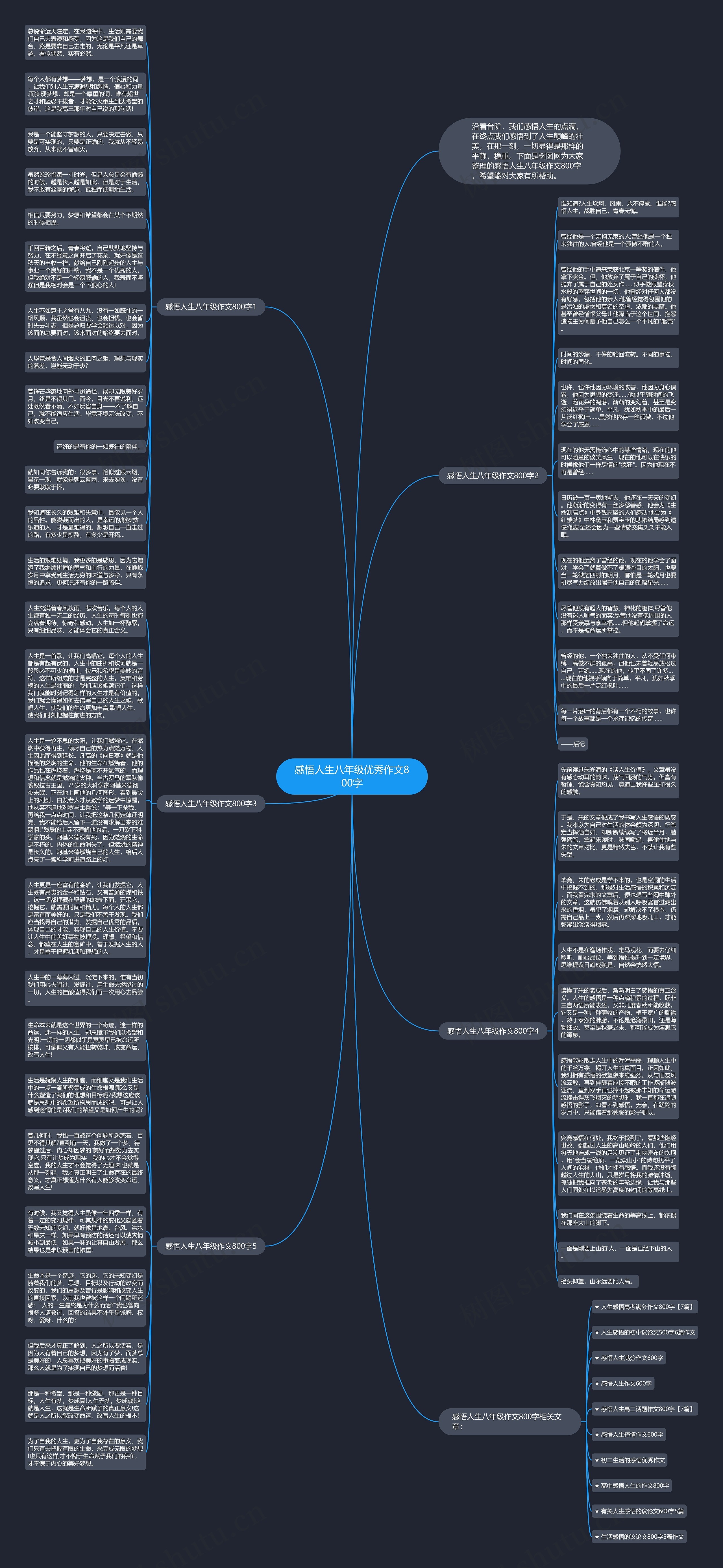 感悟人生八年级优秀作文800字思维导图