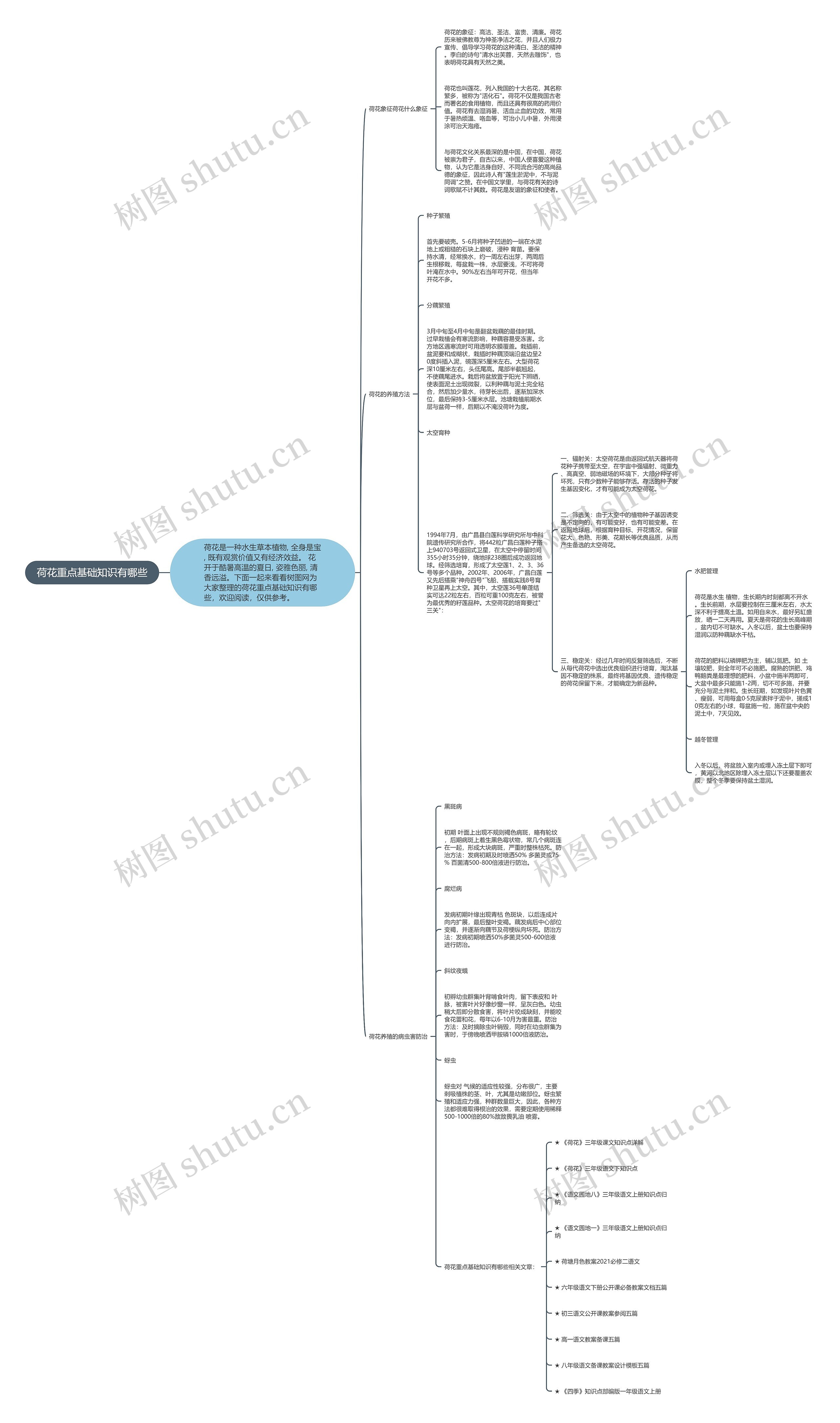 荷花重点基础知识有哪些思维导图