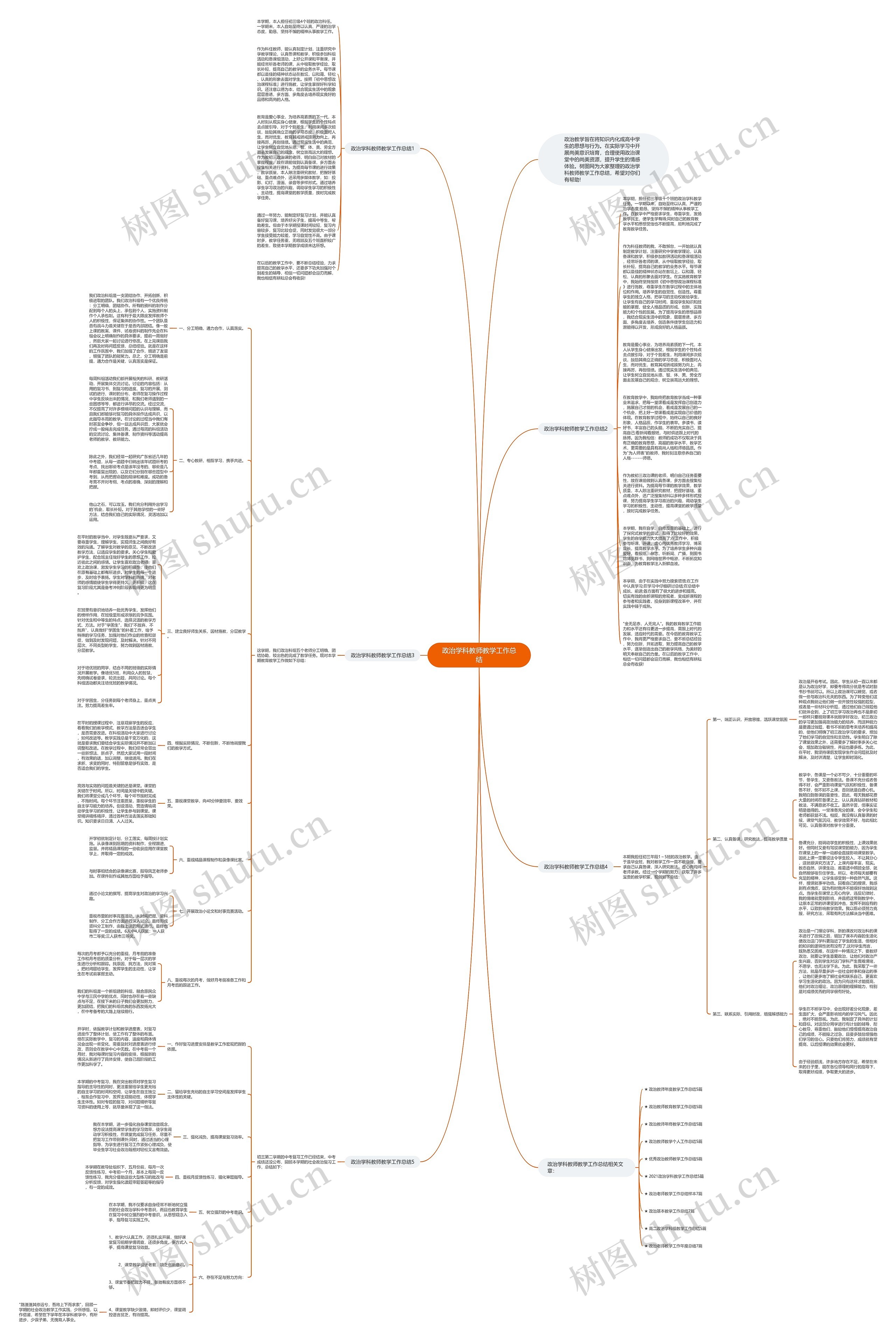 政治学科教师教学工作总结思维导图